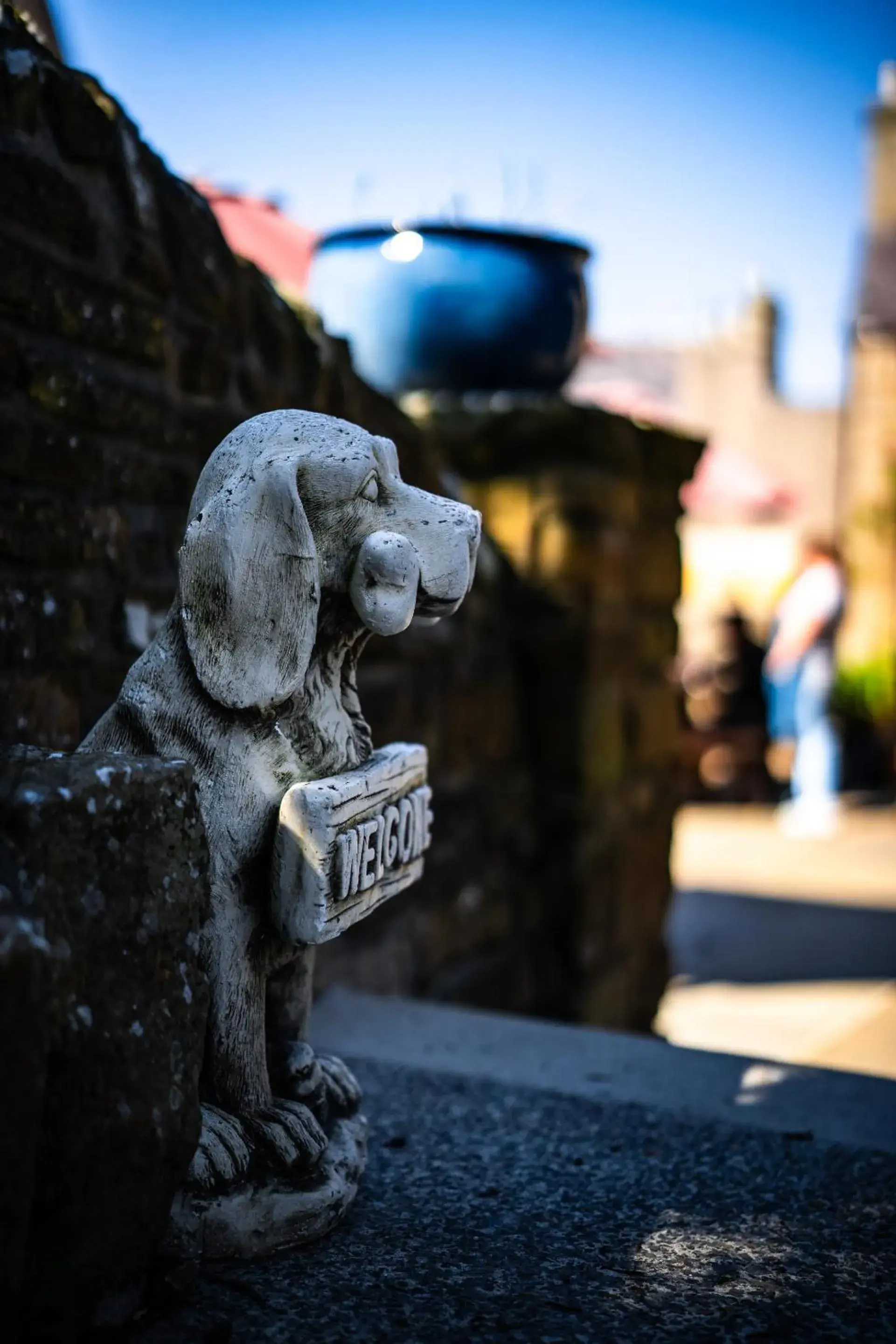 Other in Murray Arms Hotel and Seafood Restaurant, Orkney Other in Murray Arms Hotel and Seafood Restaurant, Orkney