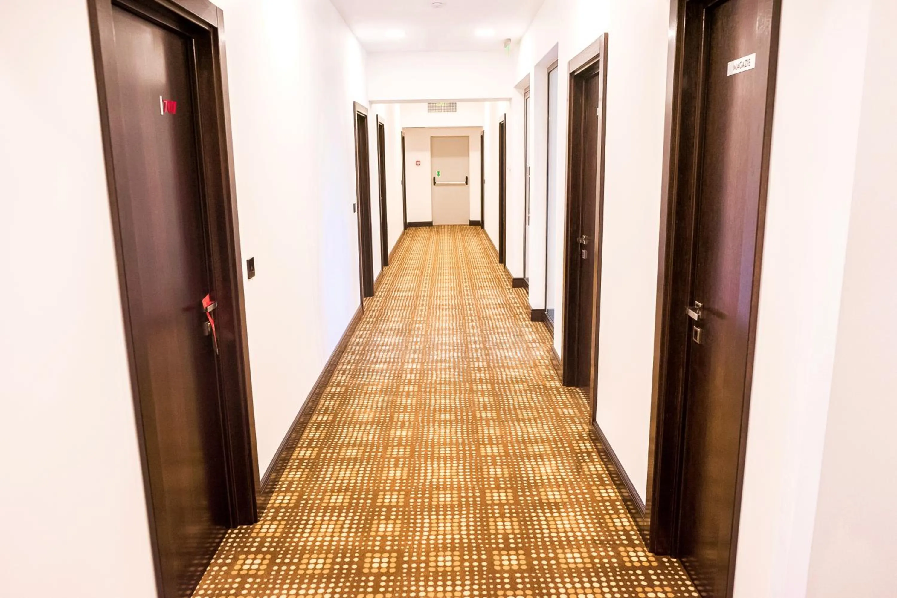 Hotel Bucovina