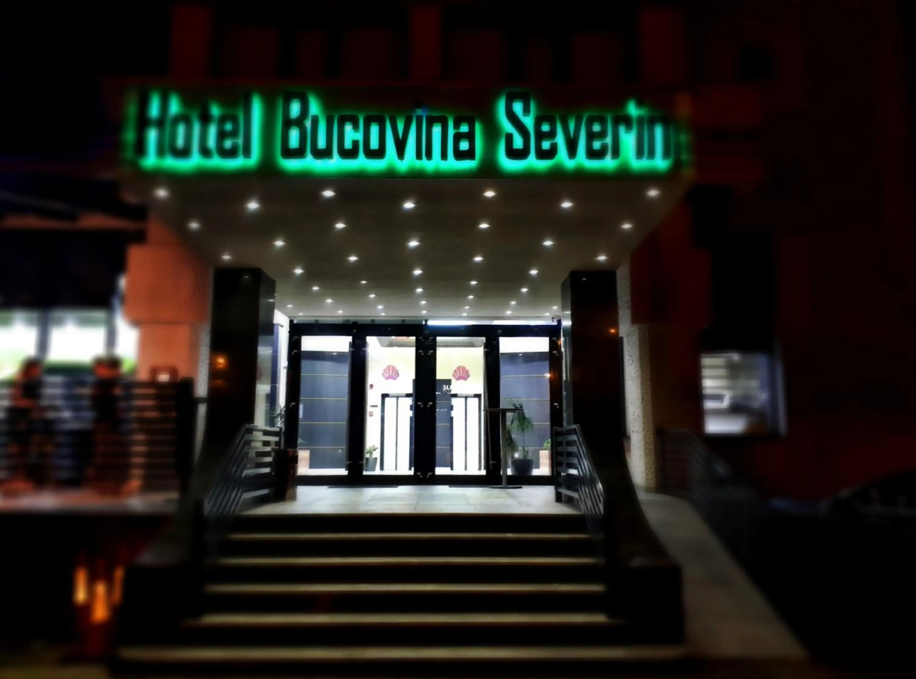Hotel Bucovina