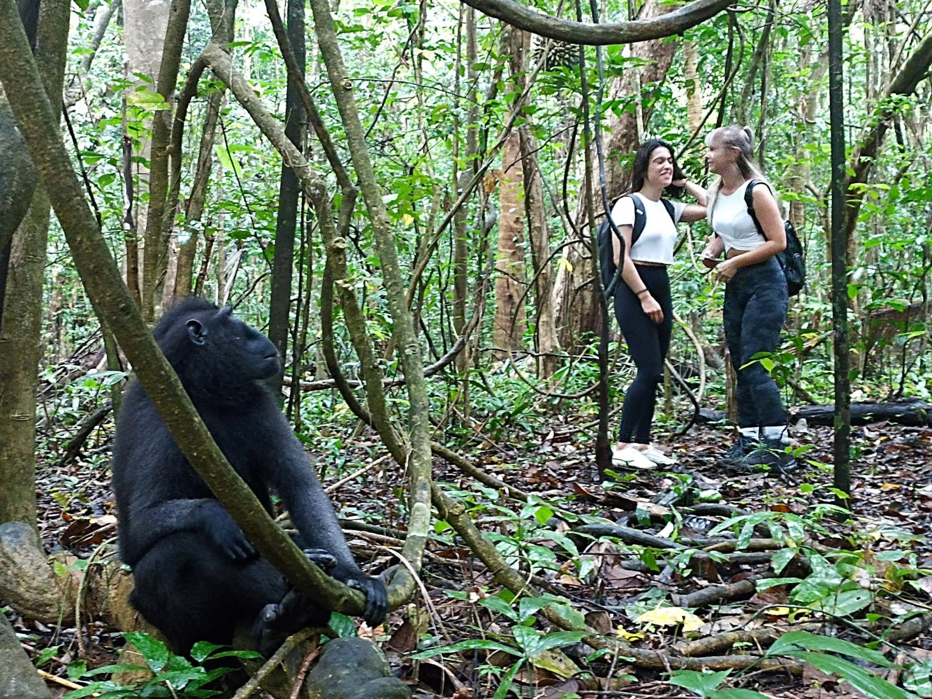Tangkoko Ranger Homestay
