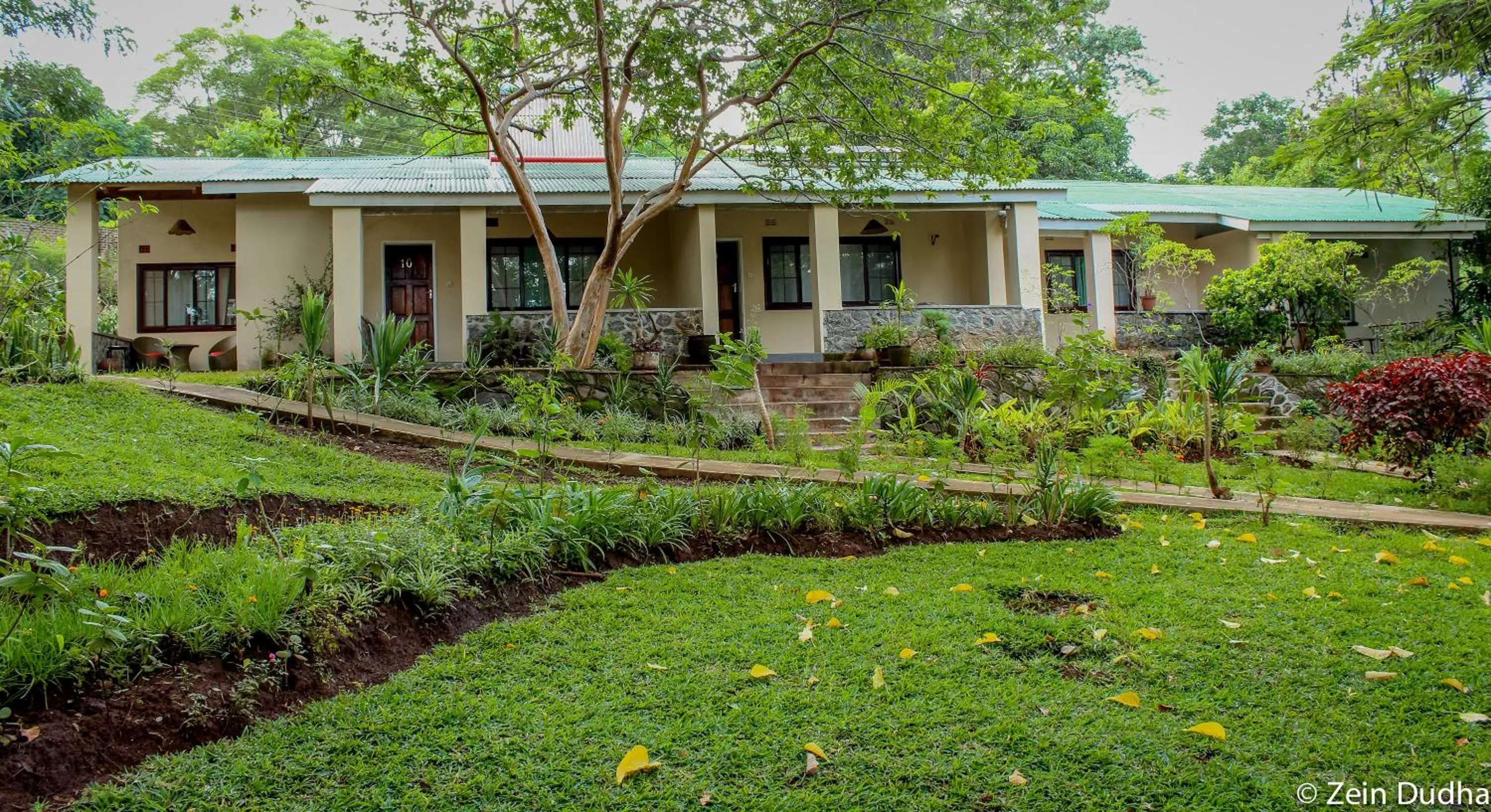 Property building in Villa 33