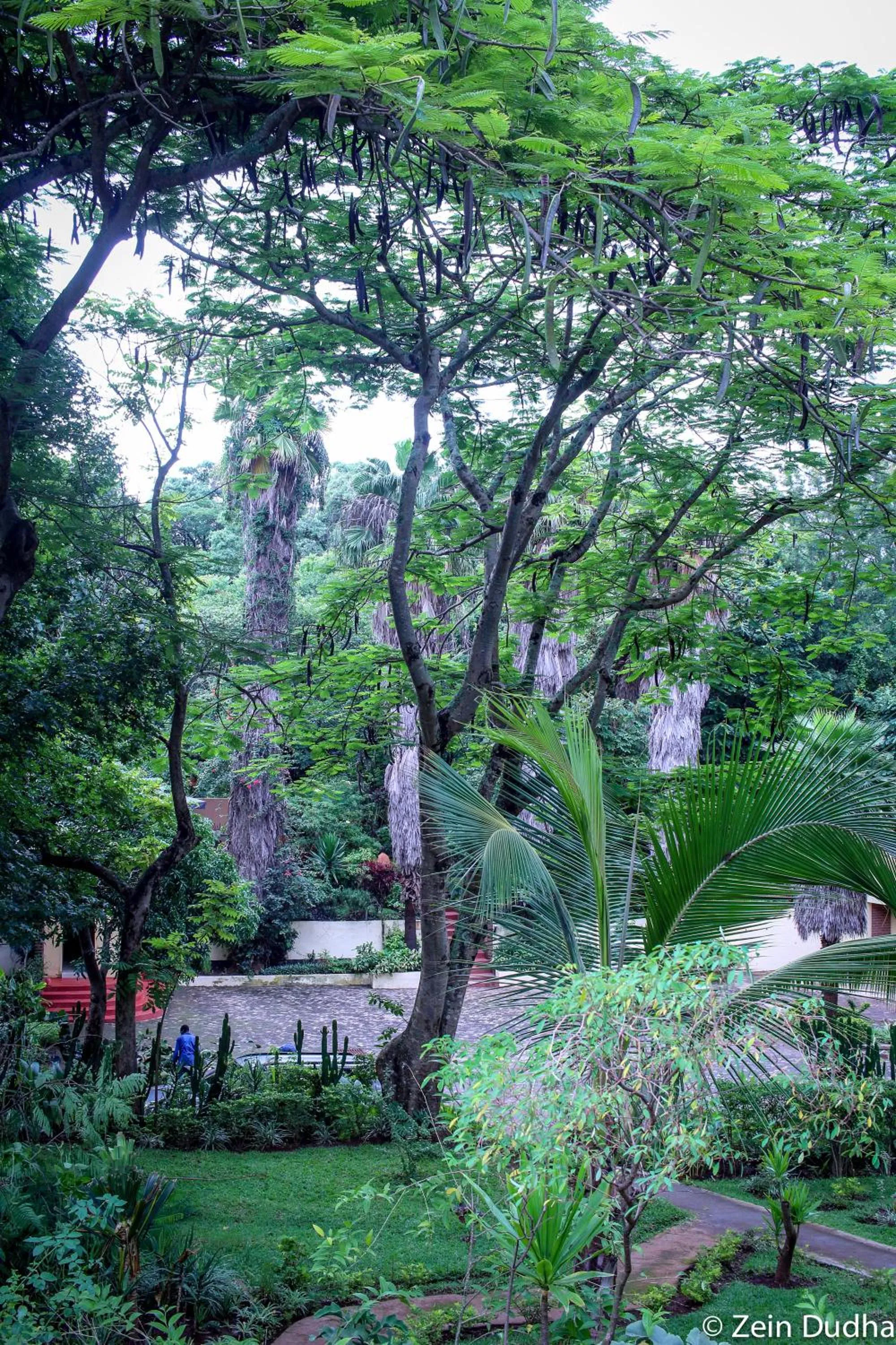 Property building in Villa 33