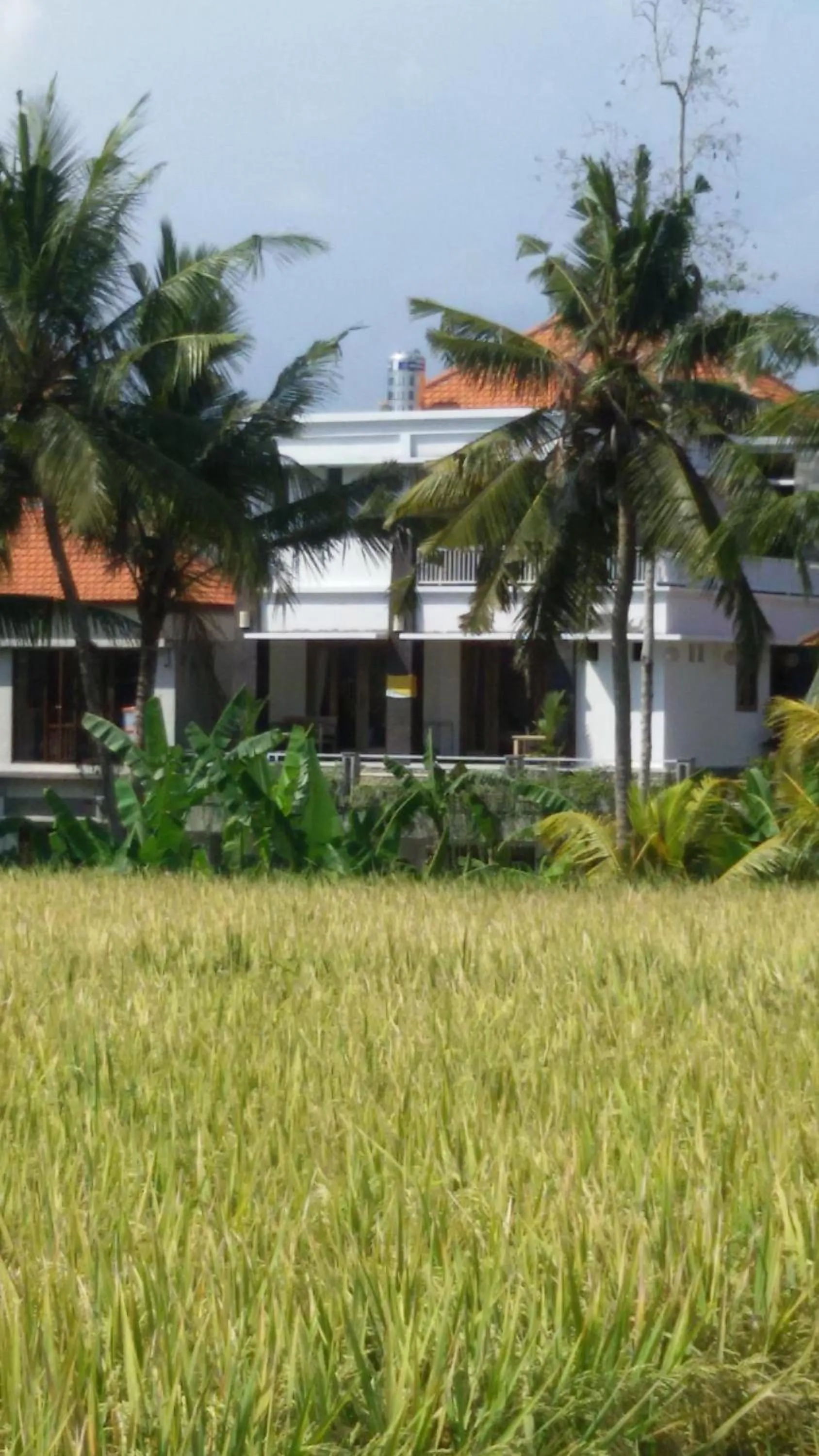 Natural landscape in Blu Mango