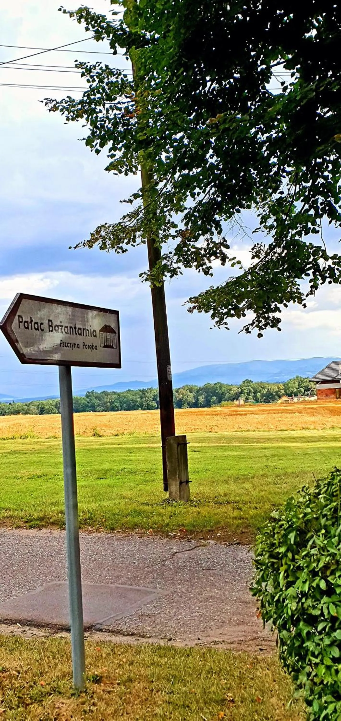 Day in Pałac Bażantarnia