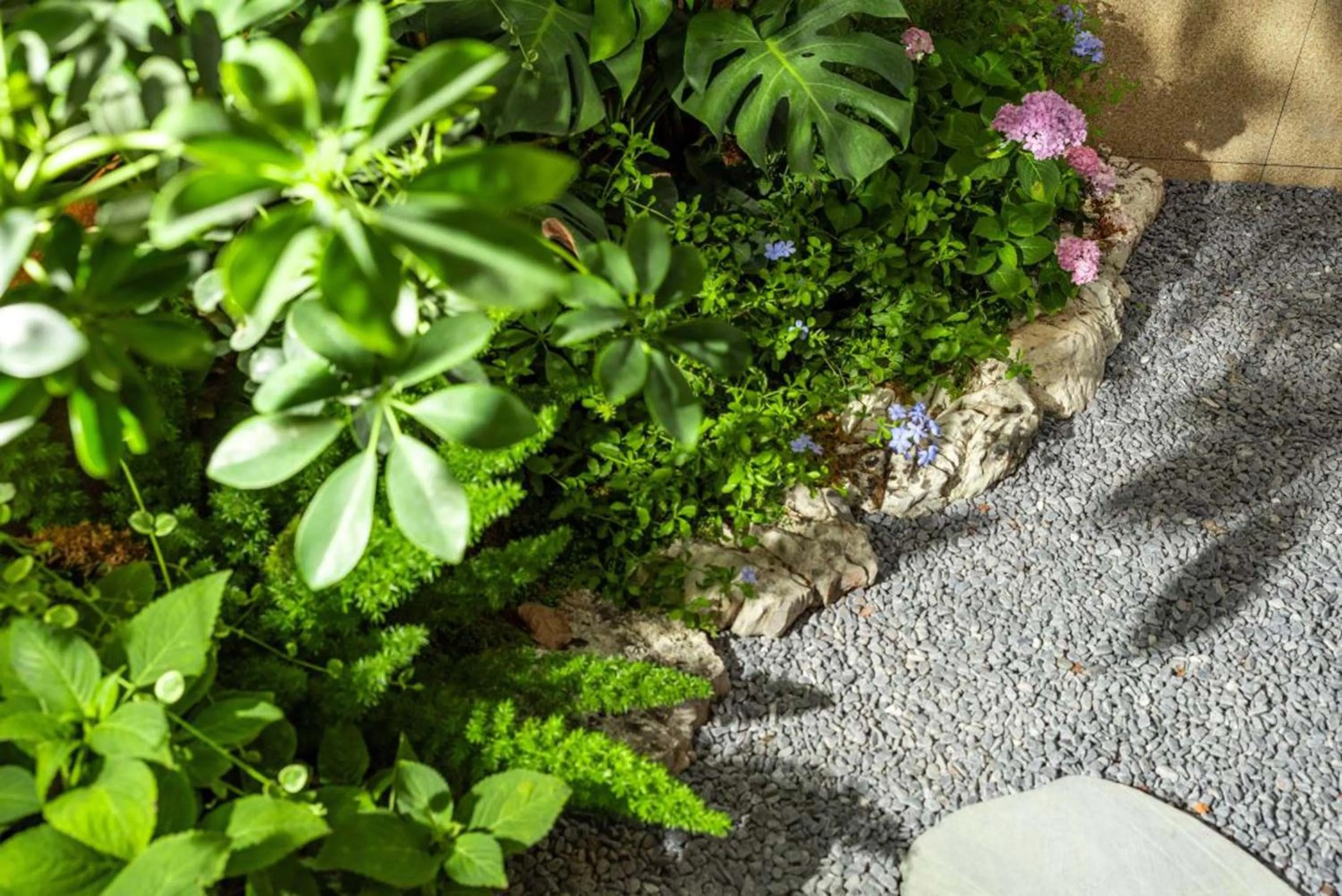 Garden in Pilot Hotel