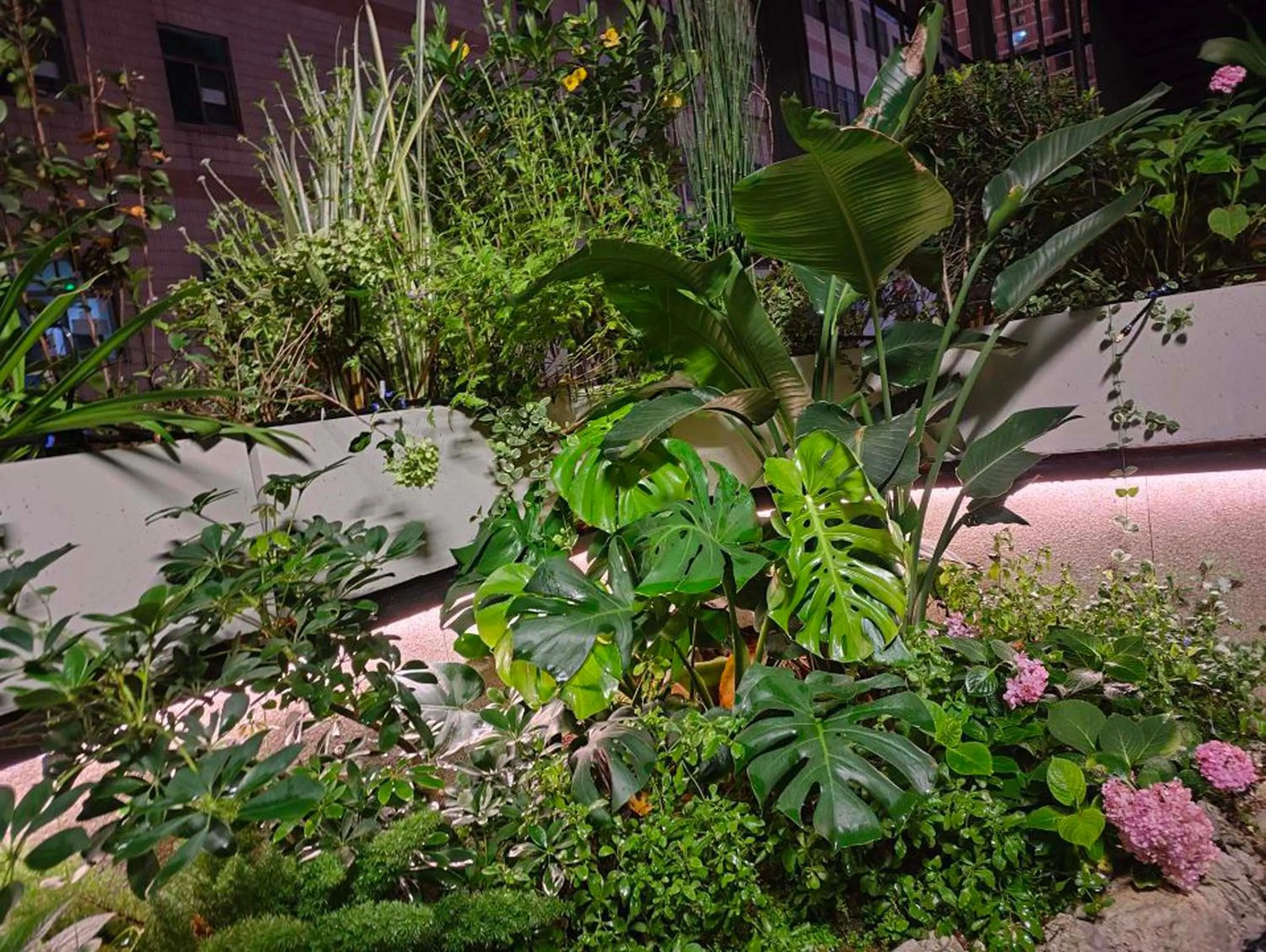 Garden in Pilot Hotel
