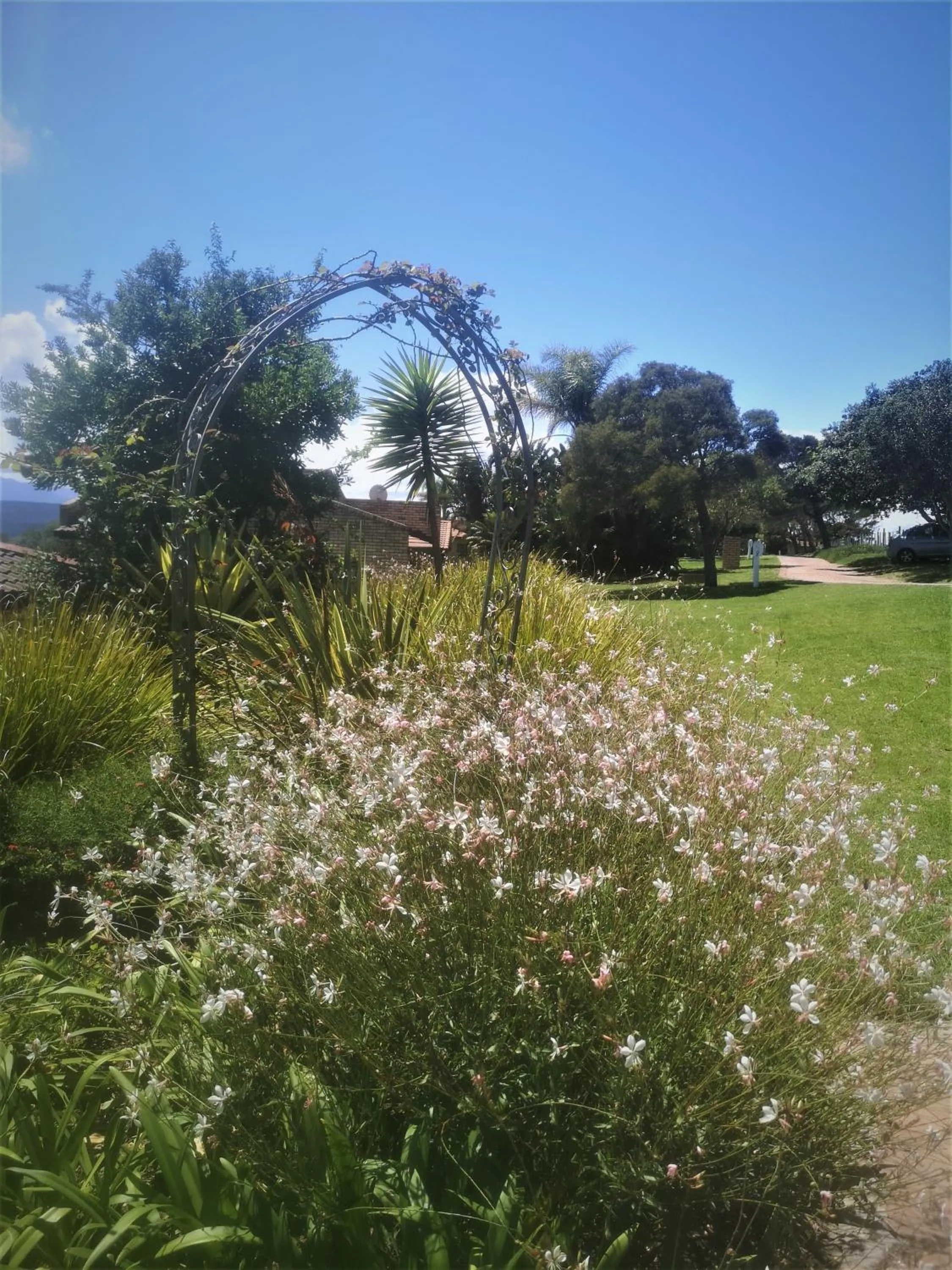 Garden in Eagles Nest