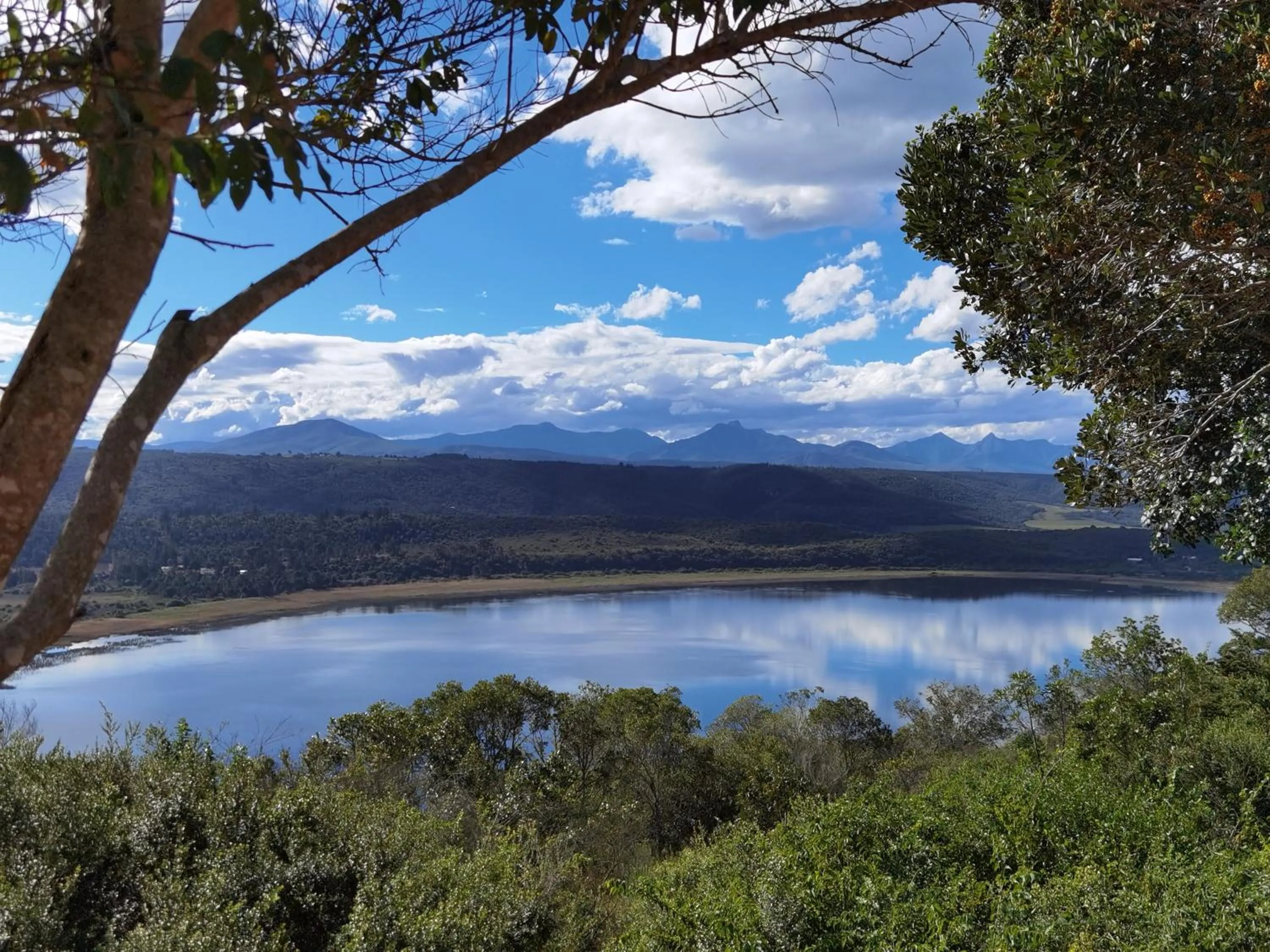 Natural landscape in Eagles Nest