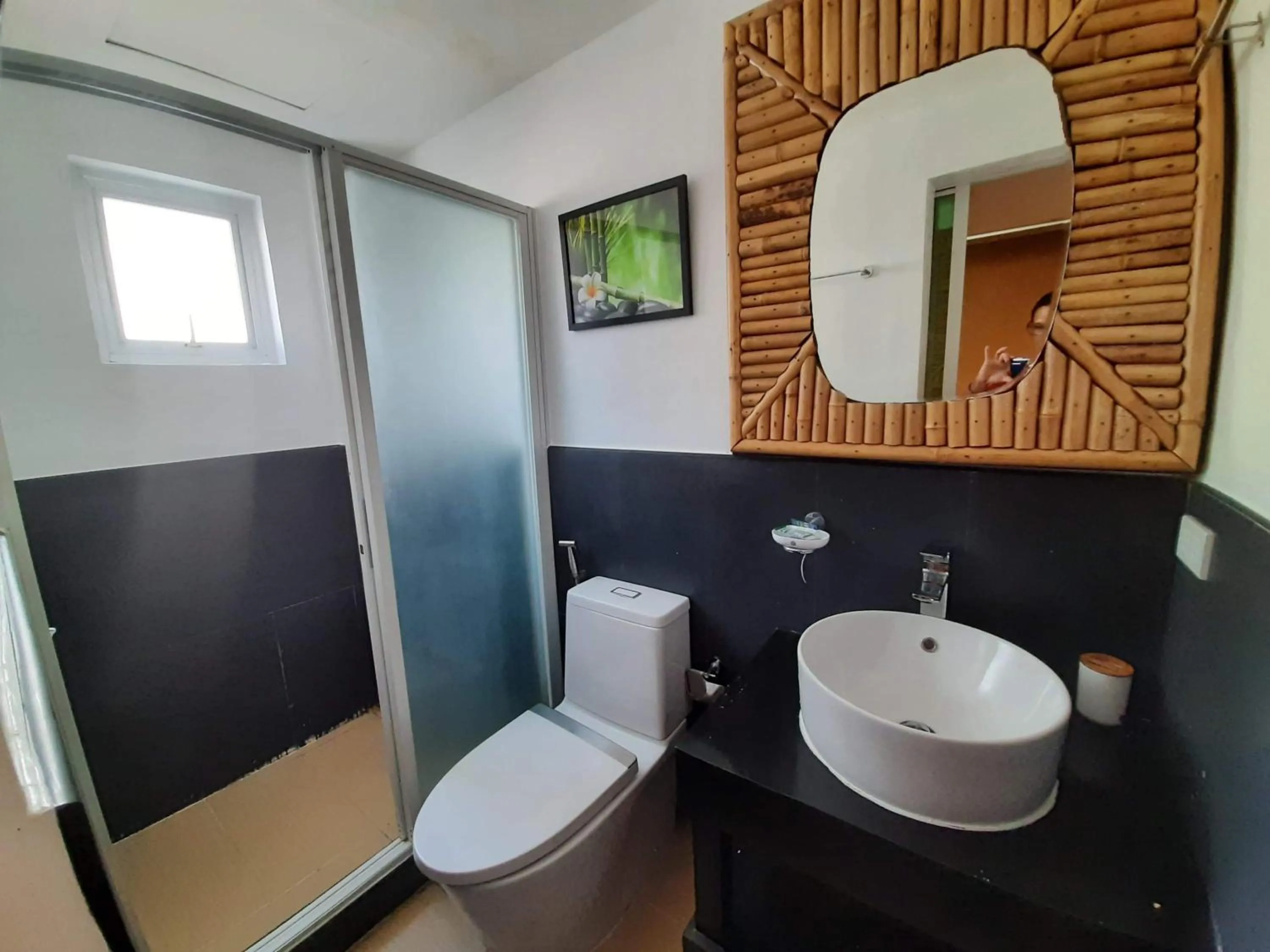 Amadeus and Isabel Inn