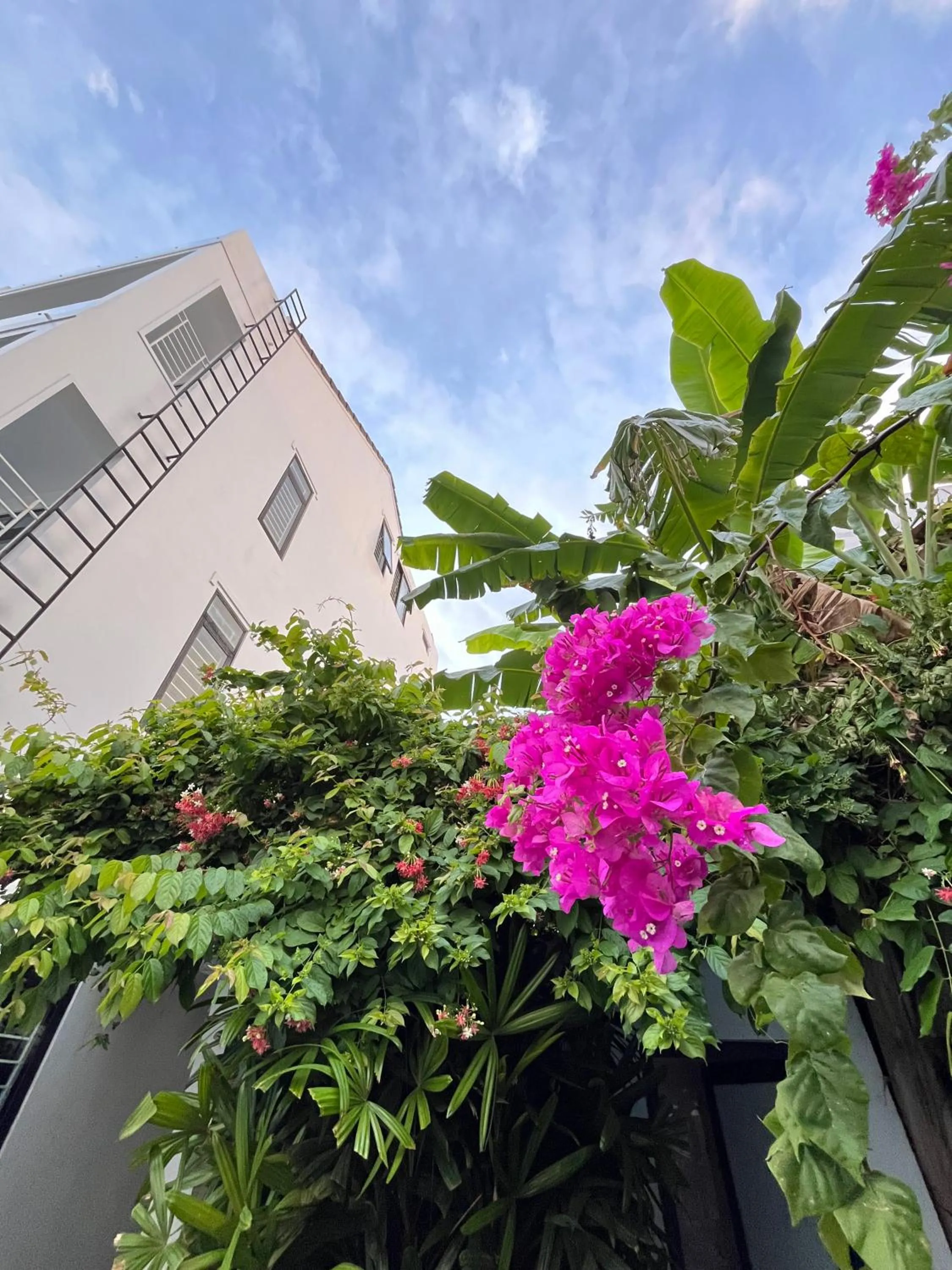 Garden in Banana Garden Villa