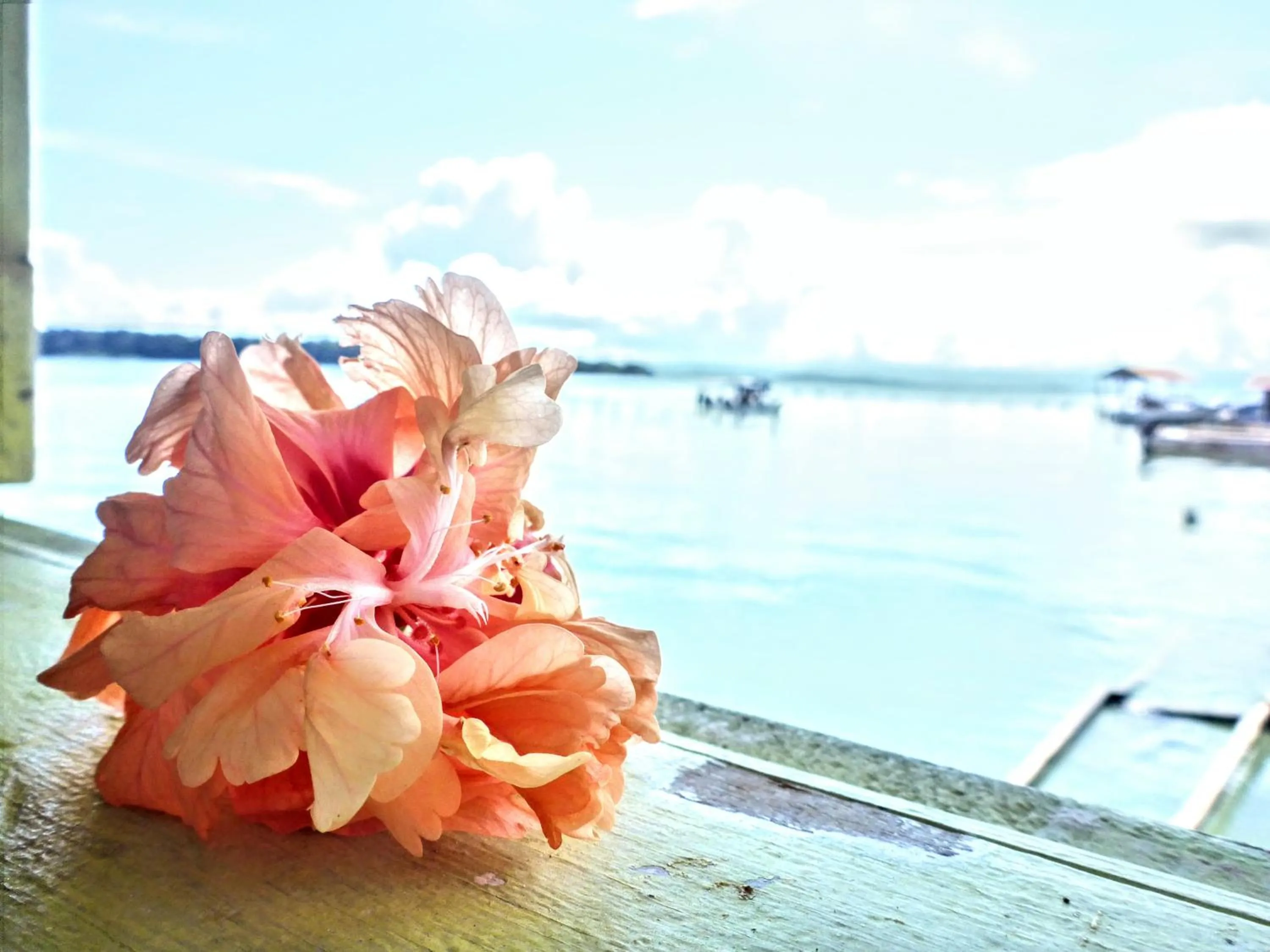 Sea view in El Jaguar