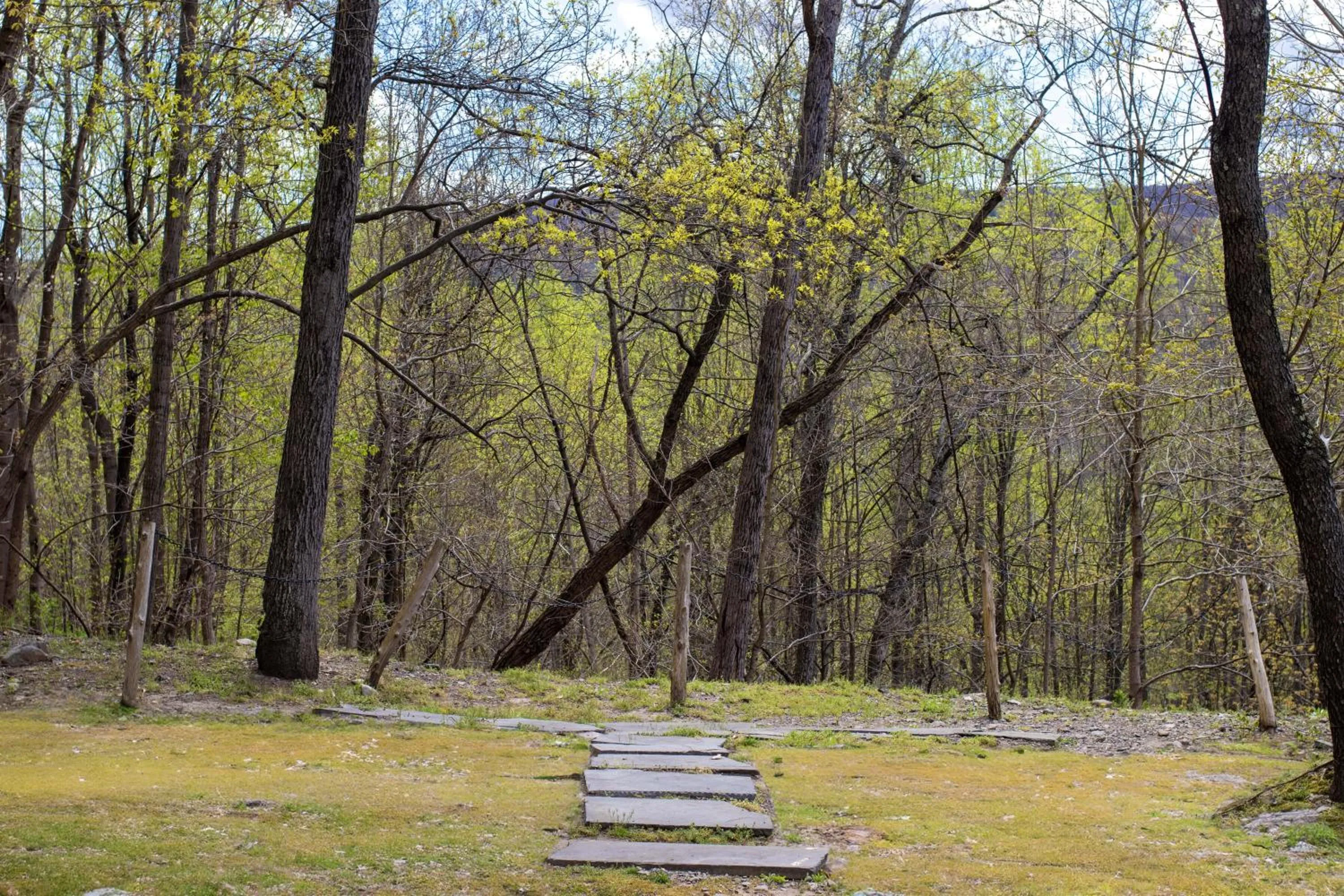 Natural landscape in Stroudsmoor Country Inn