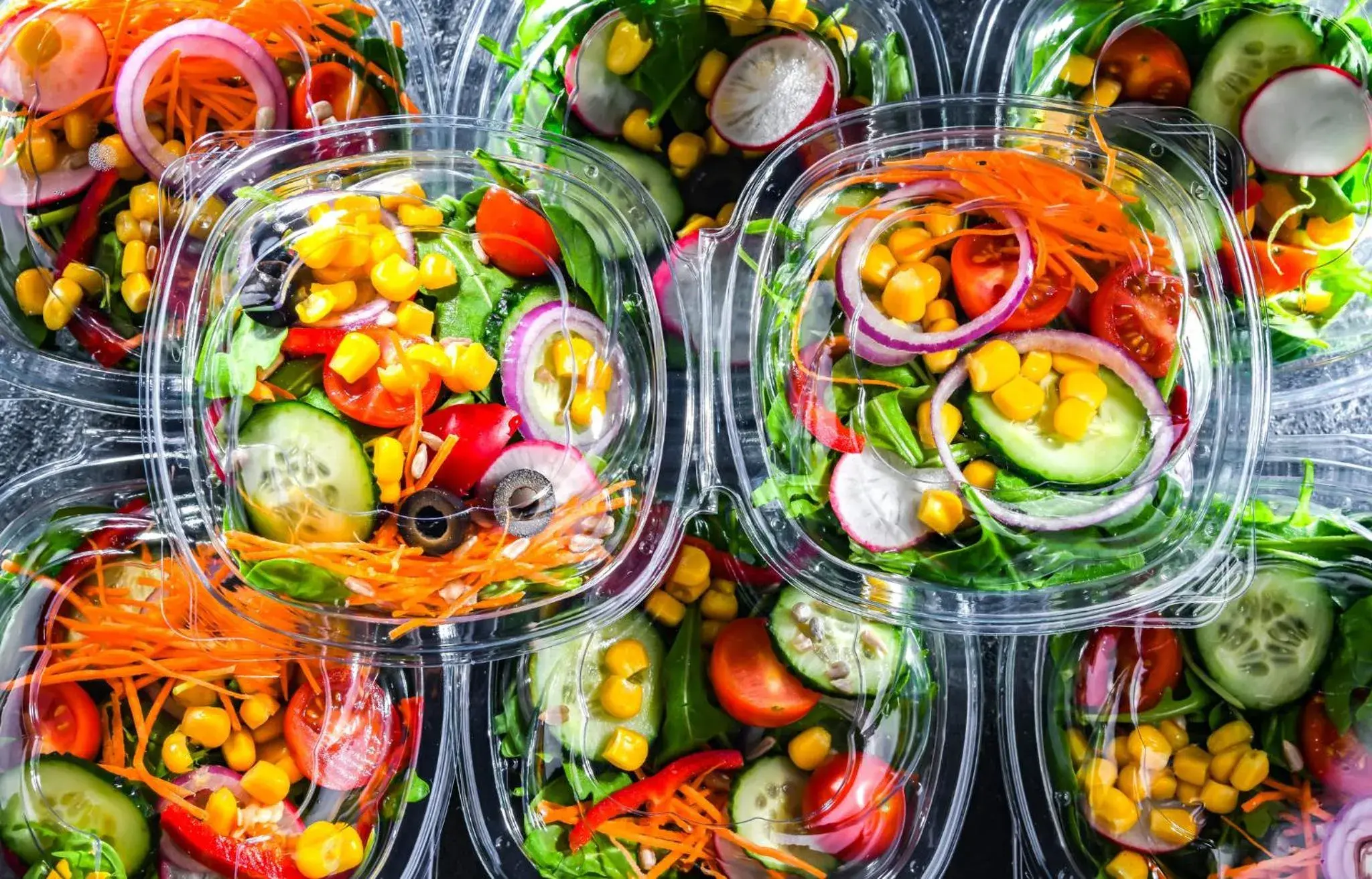 Lobby or reception in Hotel Indigo North Conway by IHG Lobby or reception in Hotel Indigo North Conway by IHG