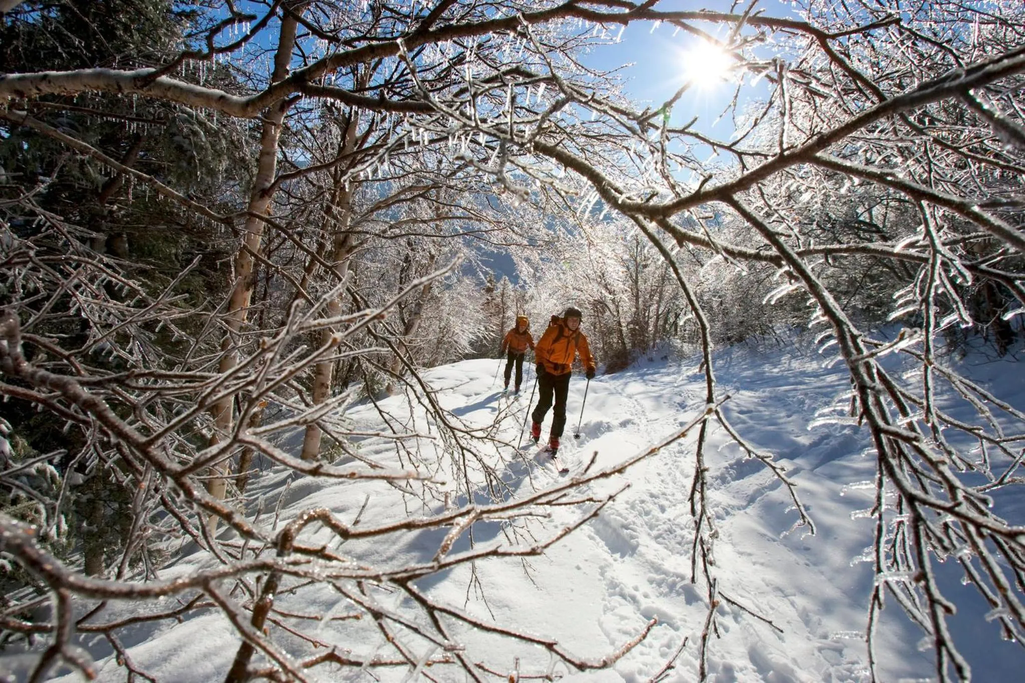 Area and facilities in Hotel Indigo North Conway by IHG