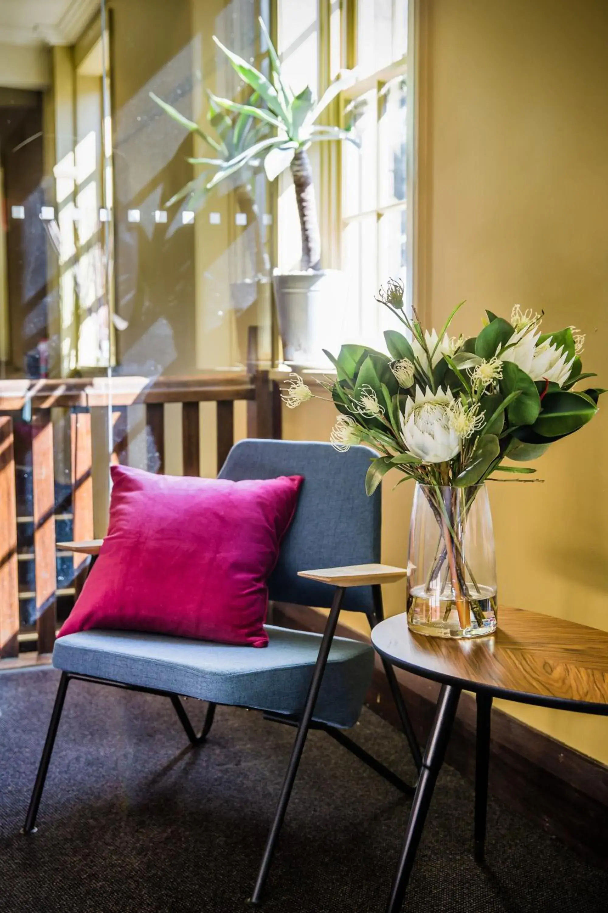 Darlo Bar Darlinghurst Darlo Bar Darlinghurst