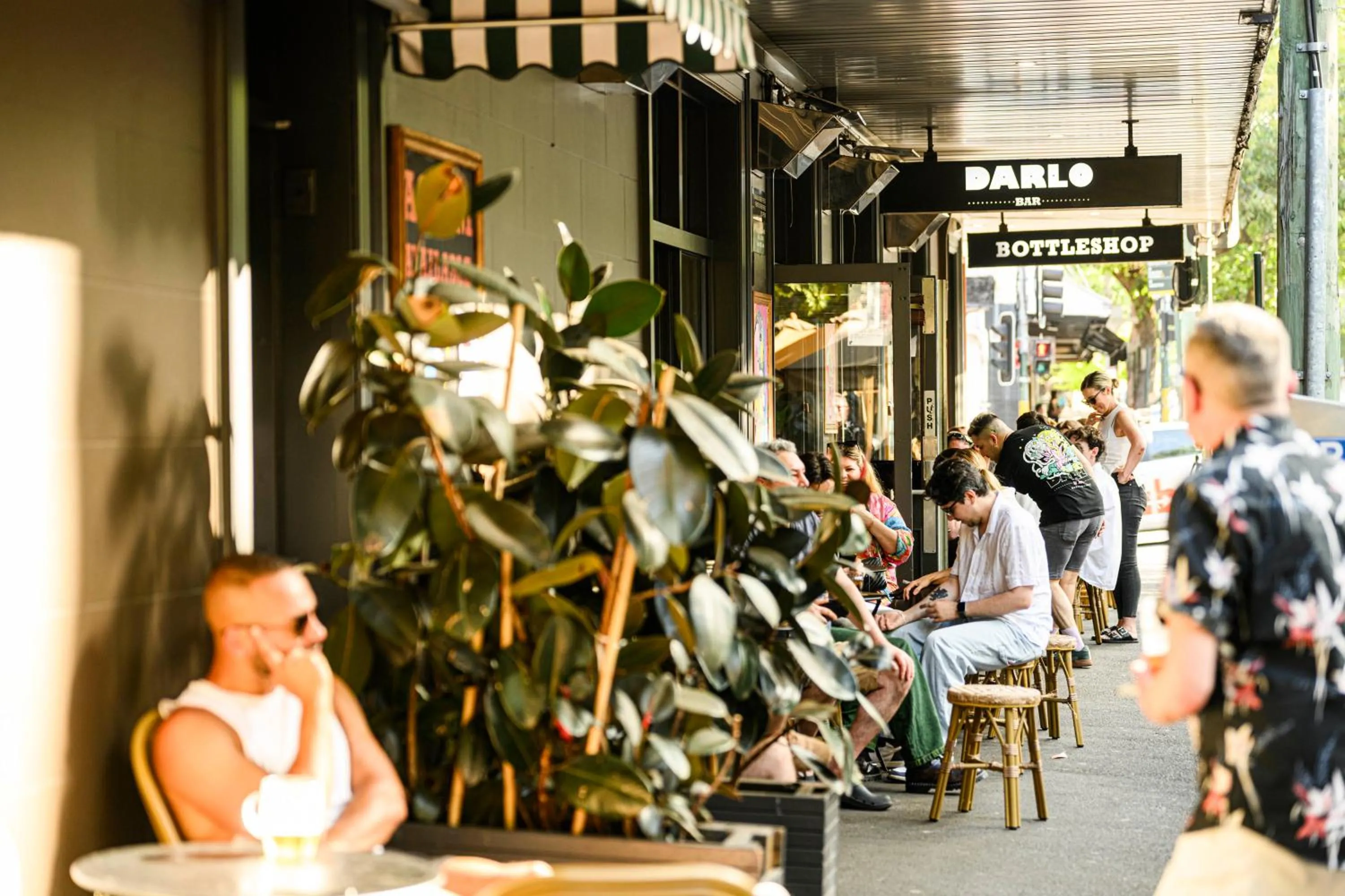 Darlo Bar Darlinghurst