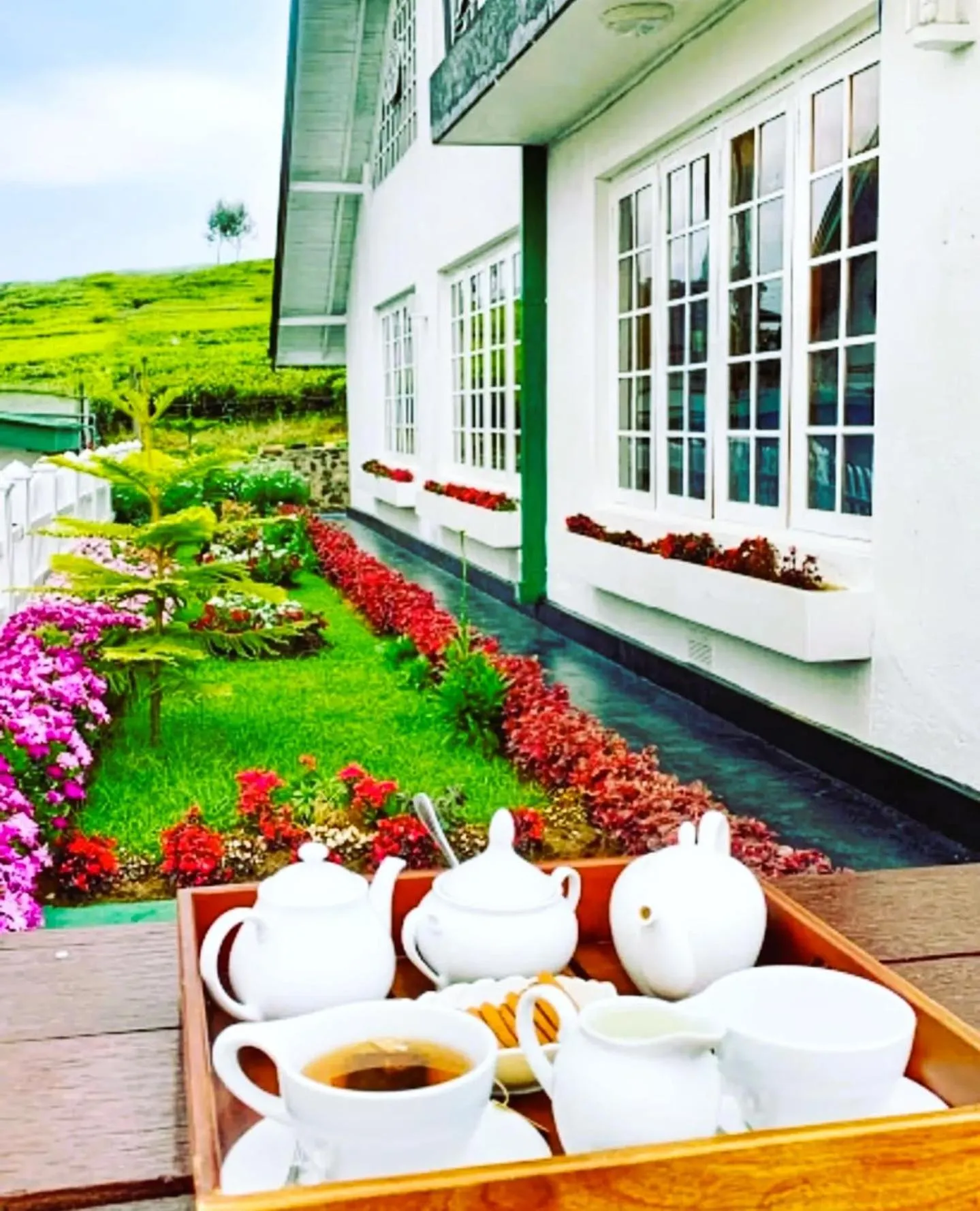 Other in Villa Tea Fields