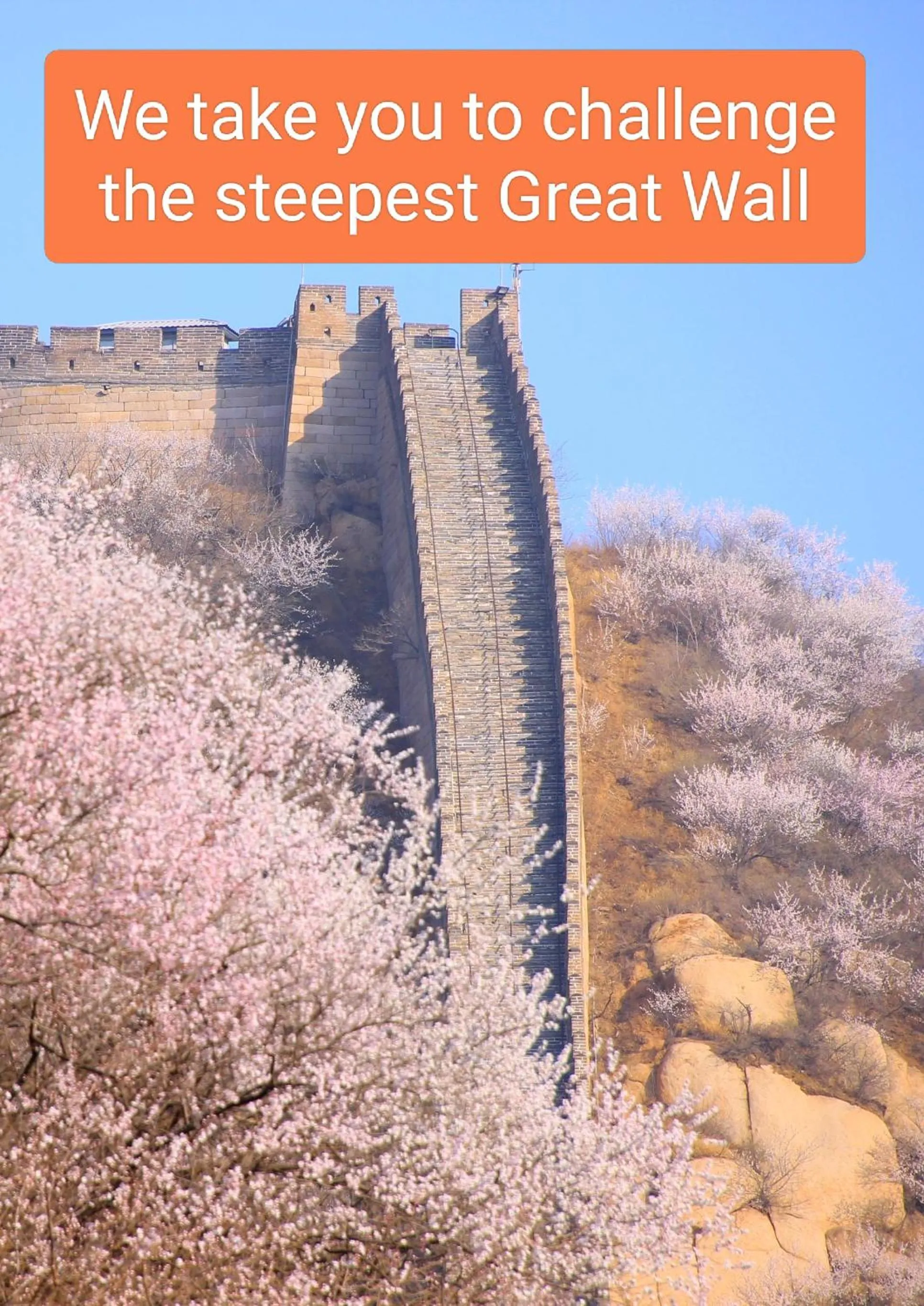 Beijing Badaling Great Wall Caos Courtyard Hostel 1VIP service 2Ancient style Chinese yard 3 only 15 minutes walk to the Badaling Great Wall 4 be your free advisor 5 offer private guided tour 6 experience local food and culutre