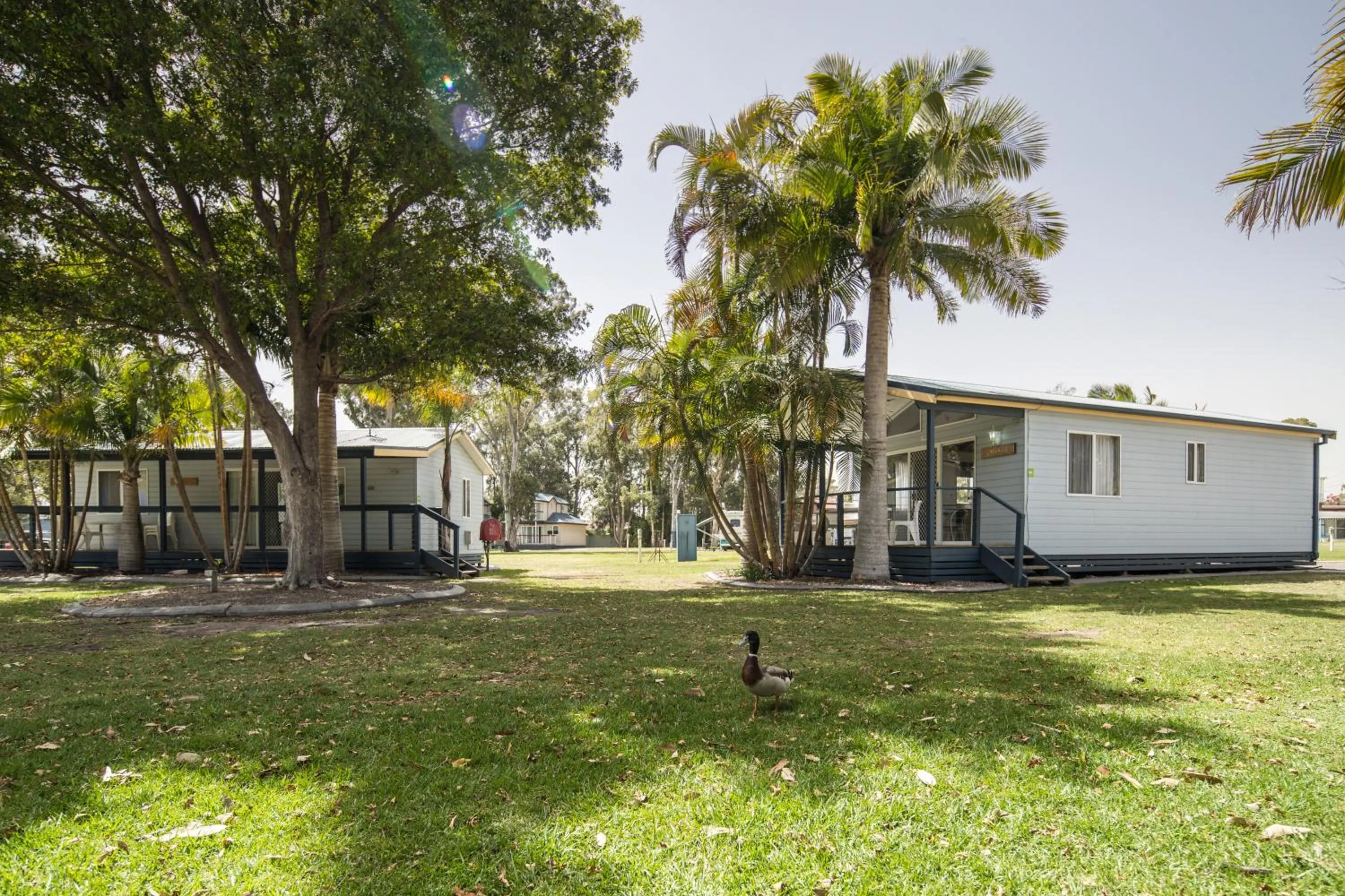 Property building in Ingenia Holidays Lake Macquarie