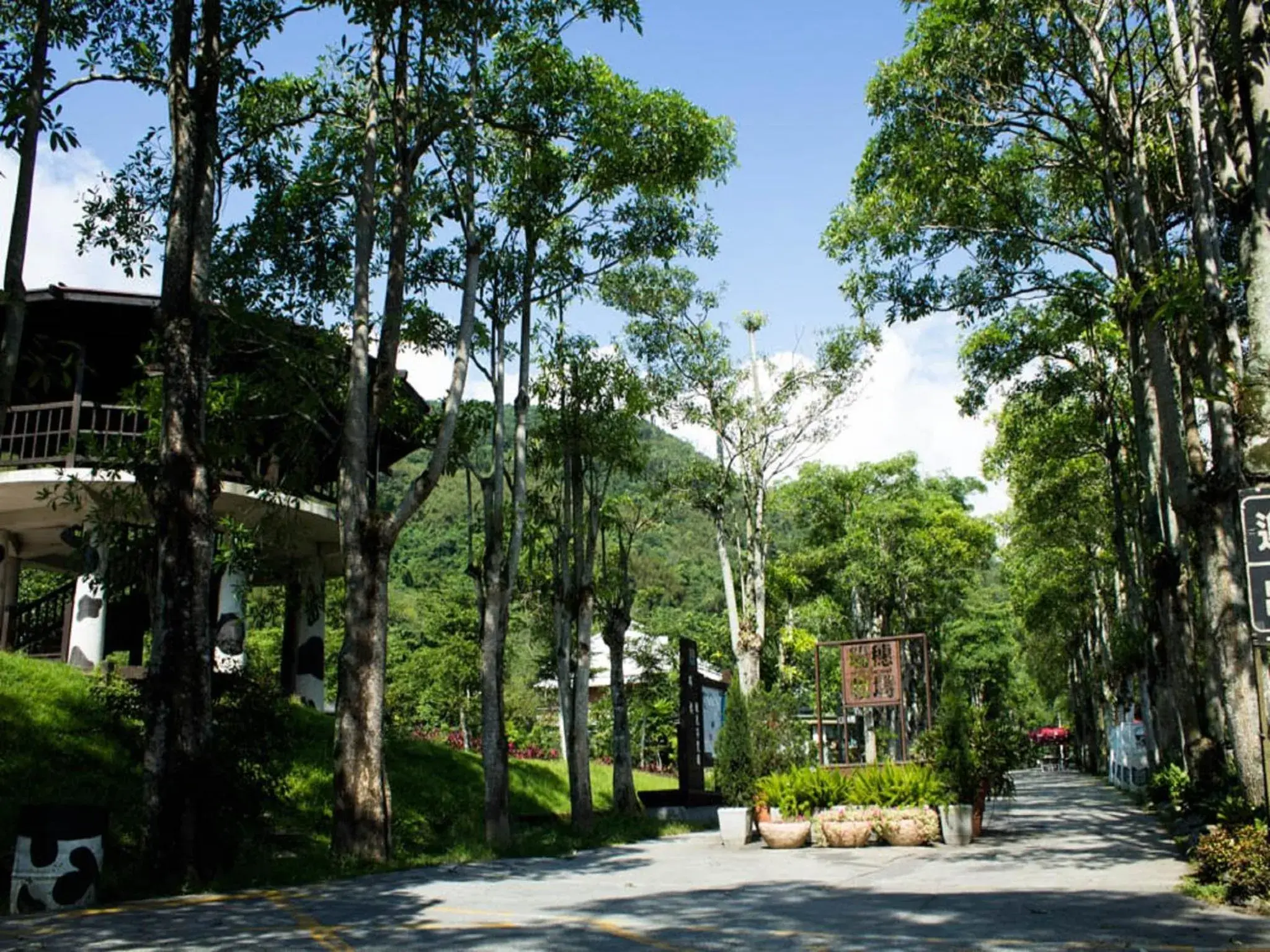 Queen Room in Lin Tea B&B Queen Room in Lin Tea B&B