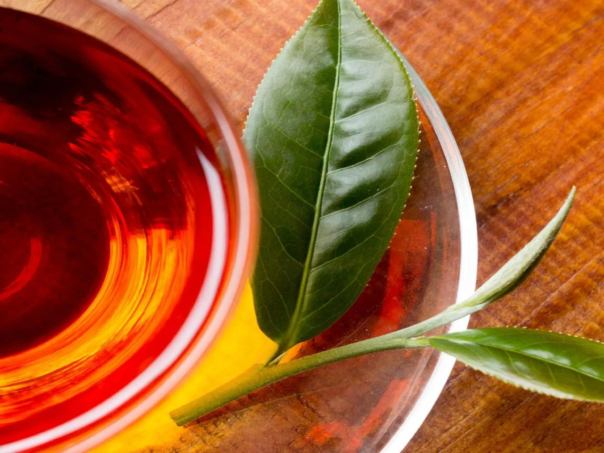 Drinks in Lin Tea B&B