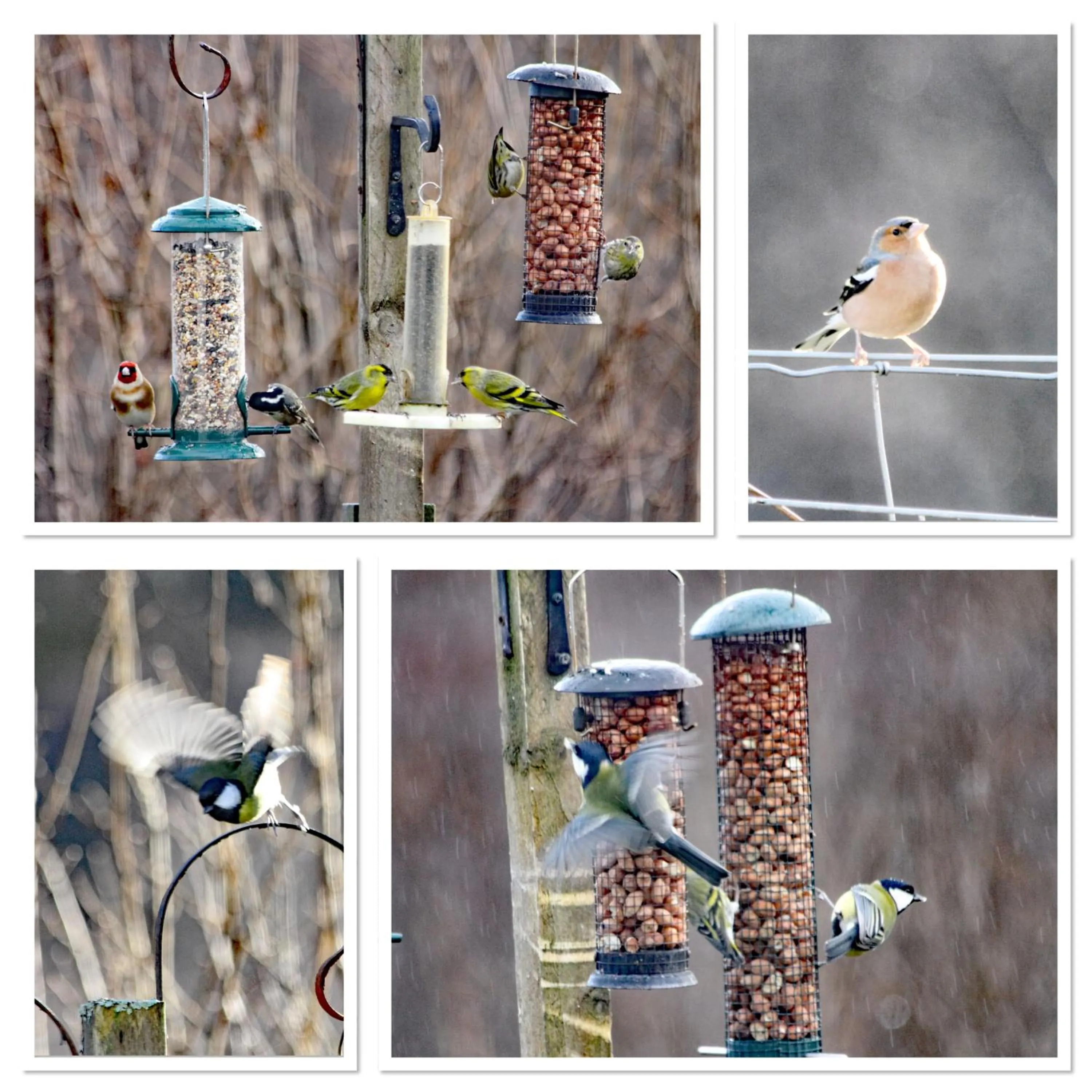 Property building in Off The Hill B&B