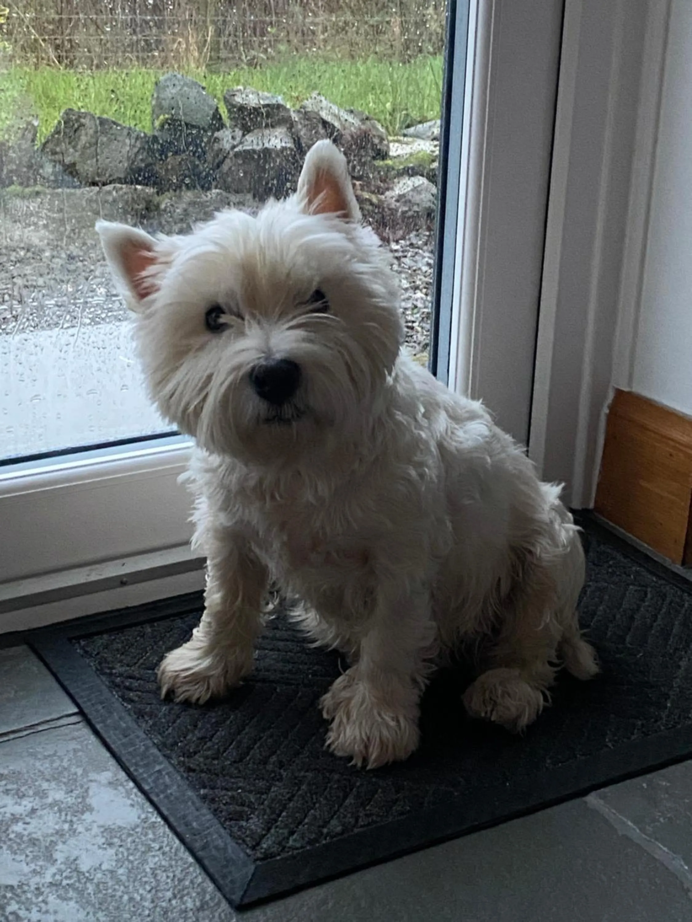 Property building in Off The Hill B&B