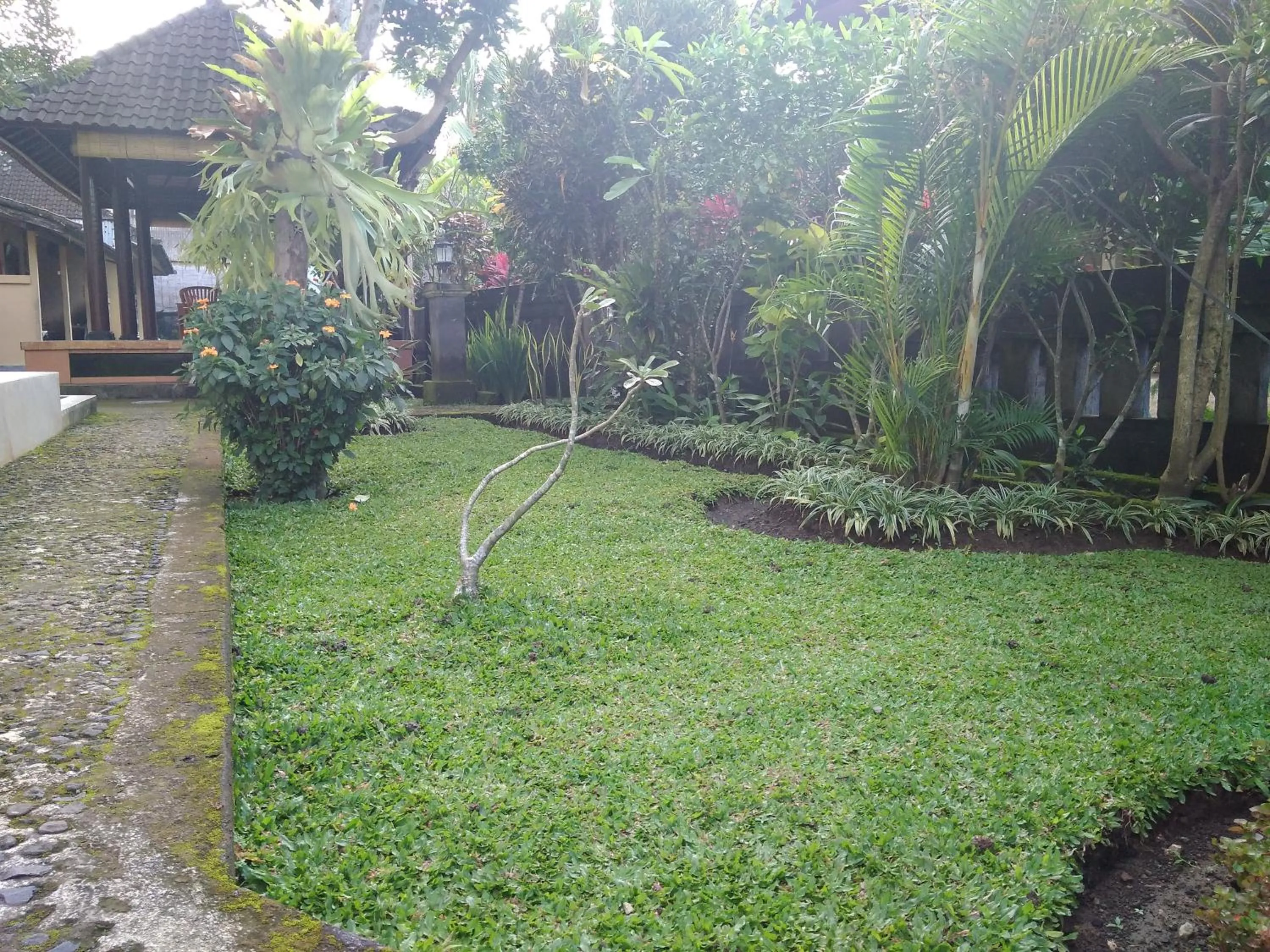 Garden view in Kartika Bungalows