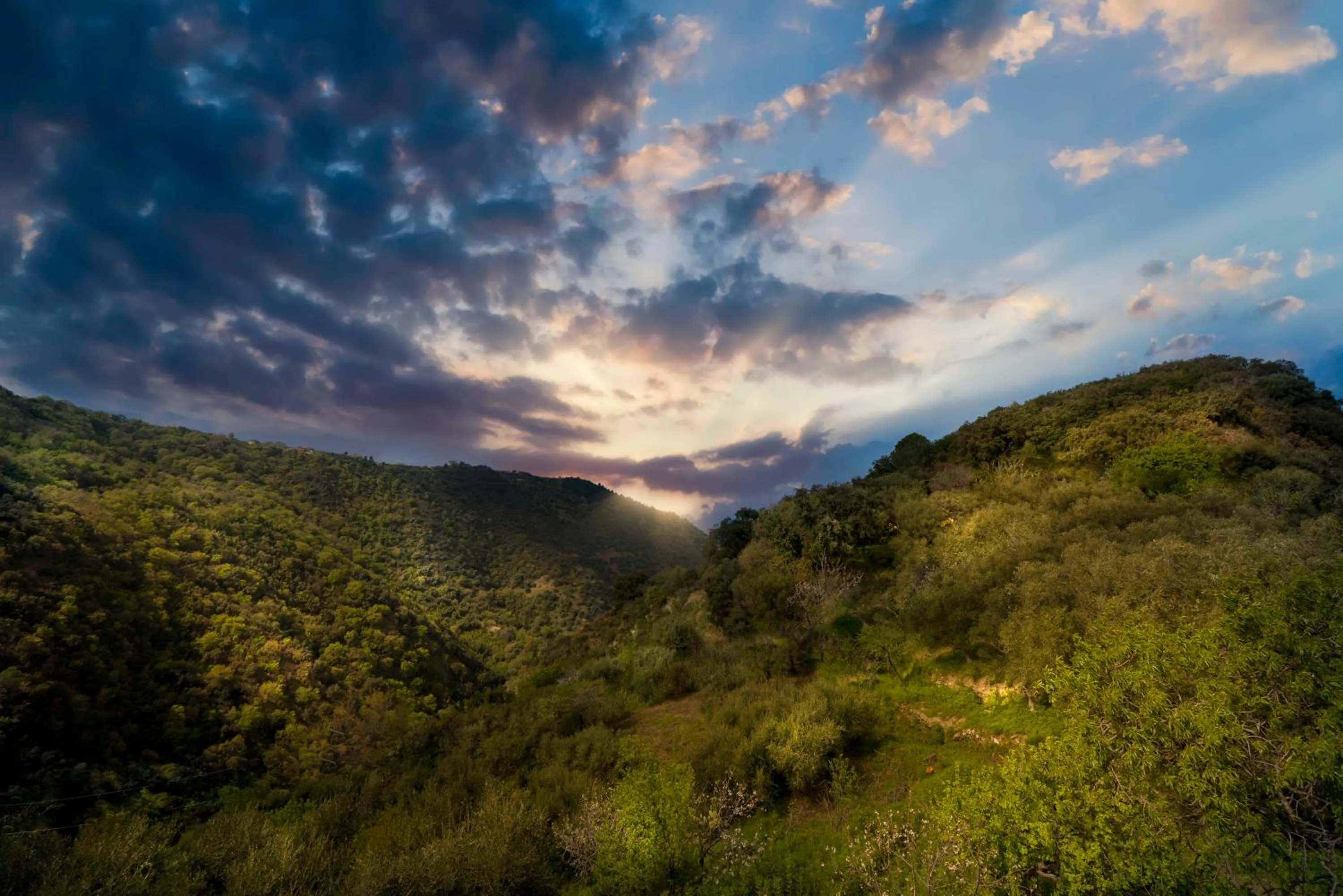 View (from property/room) in B&B Gàttina
