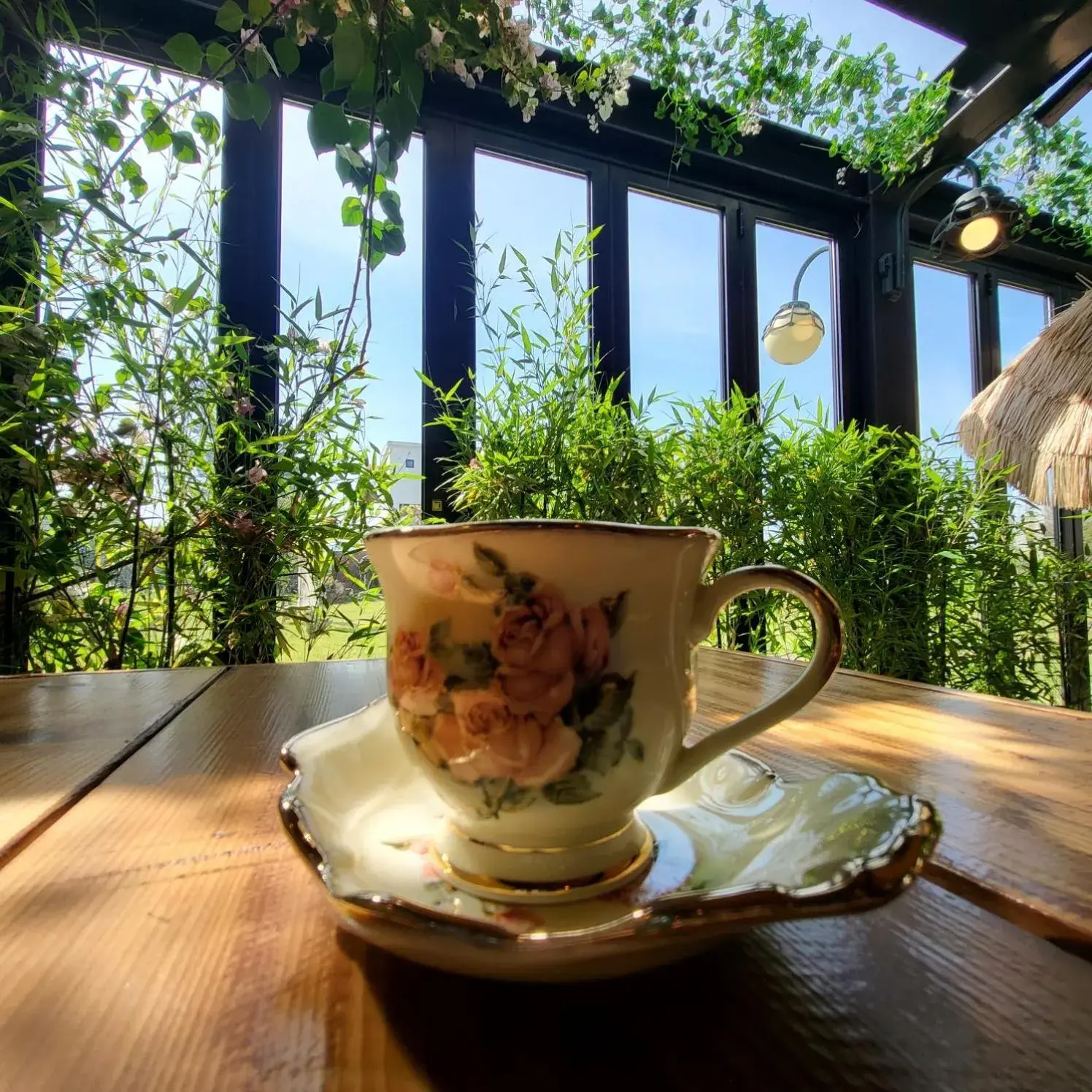 Restaurant/places to eat in Olle Resort Restaurant/places to eat in Olle Resort