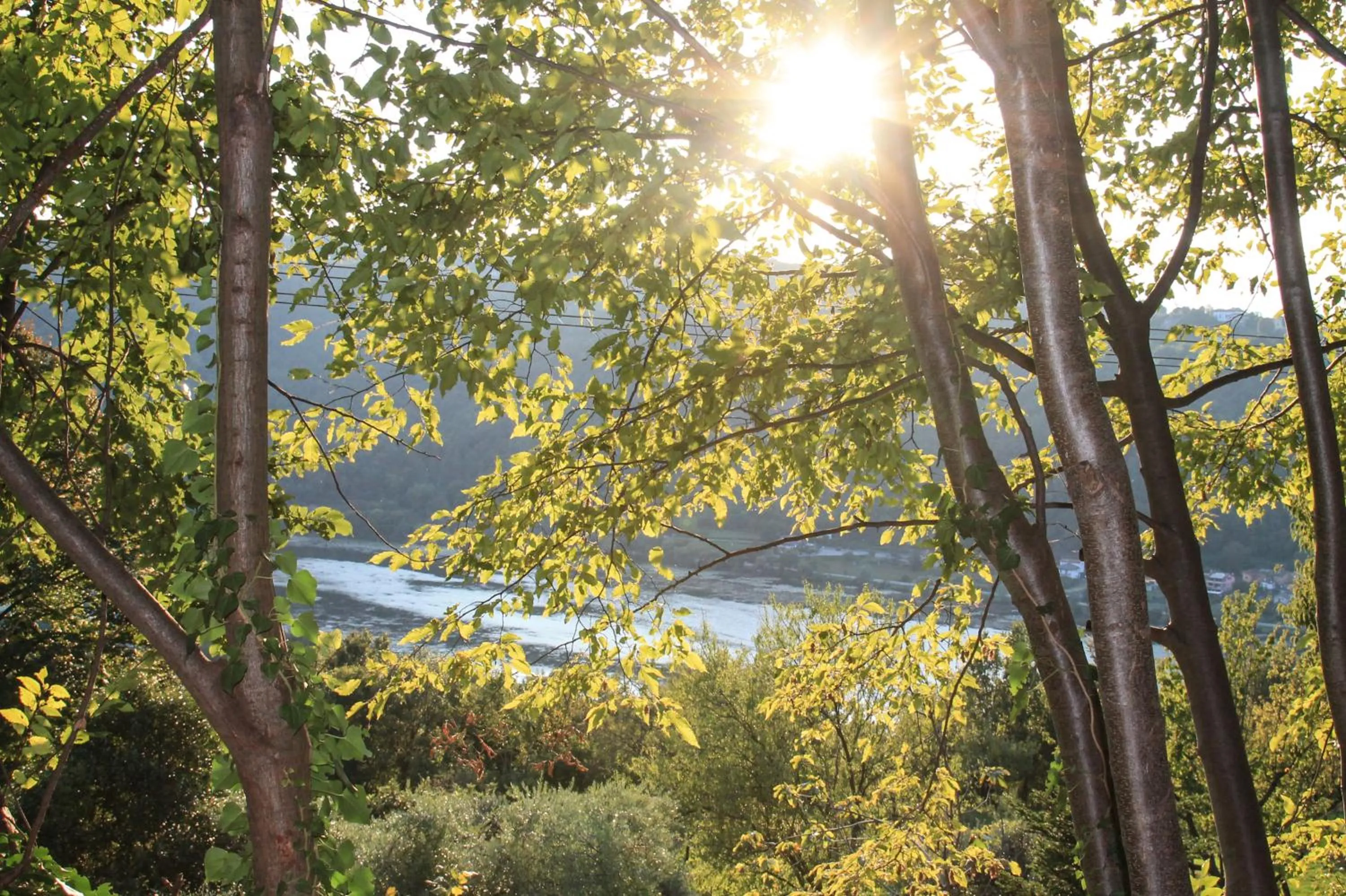 Natural landscape in Bed and Breakfast La Quiete