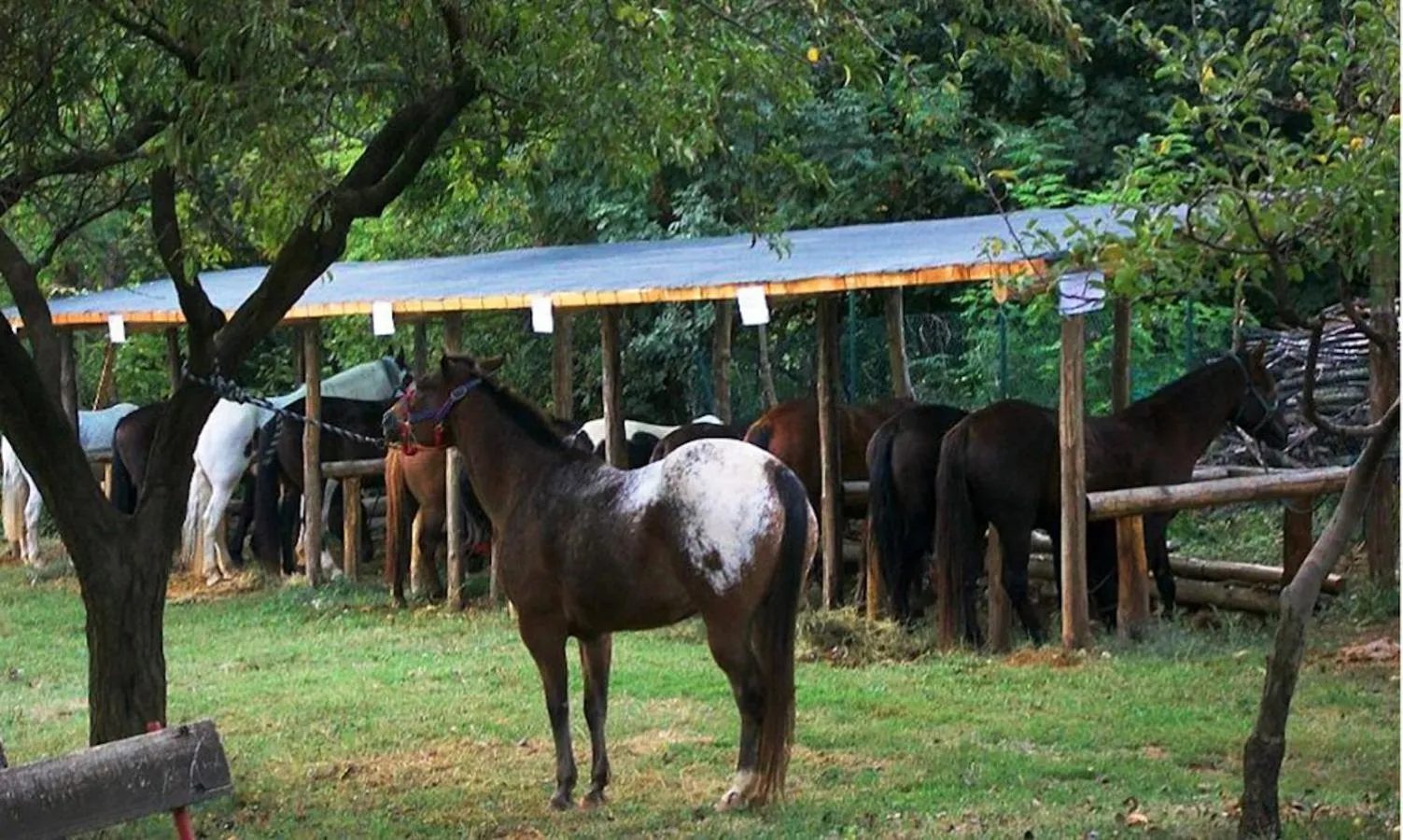 Neighbourhood in Bed and Breakfast La Quiete