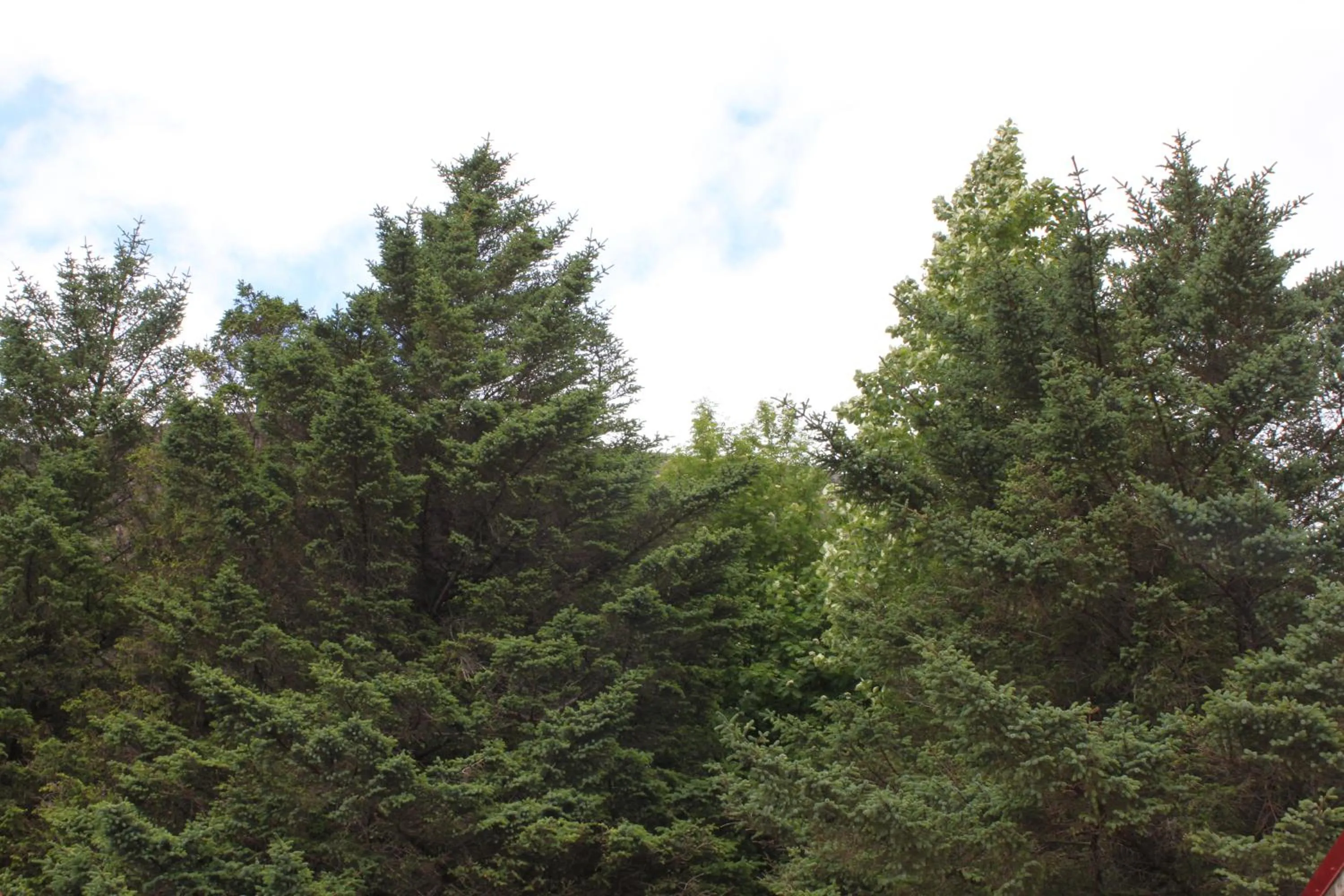 View (from property/room) in Lindarbrekka