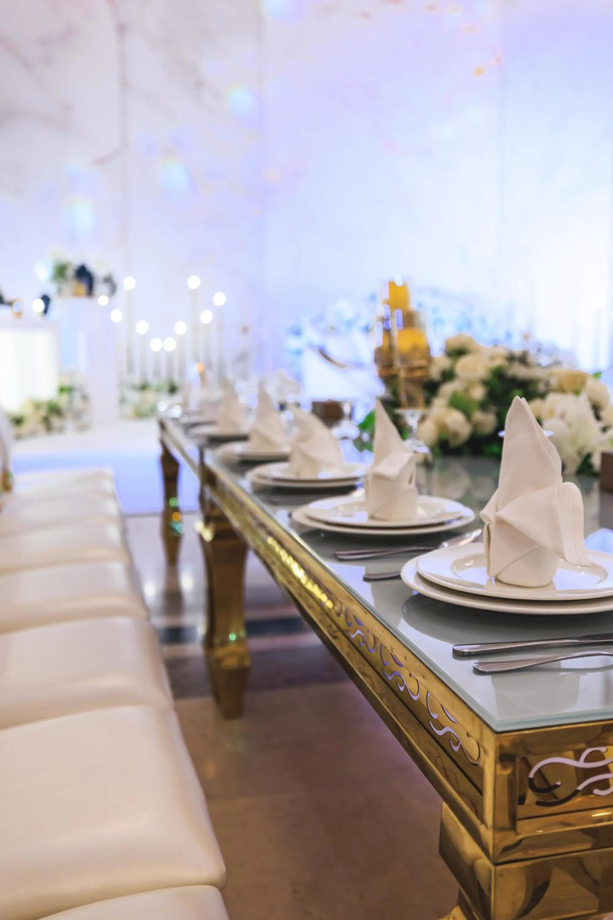 Banquet/Function facilities in Sapphire Plaza Hotel