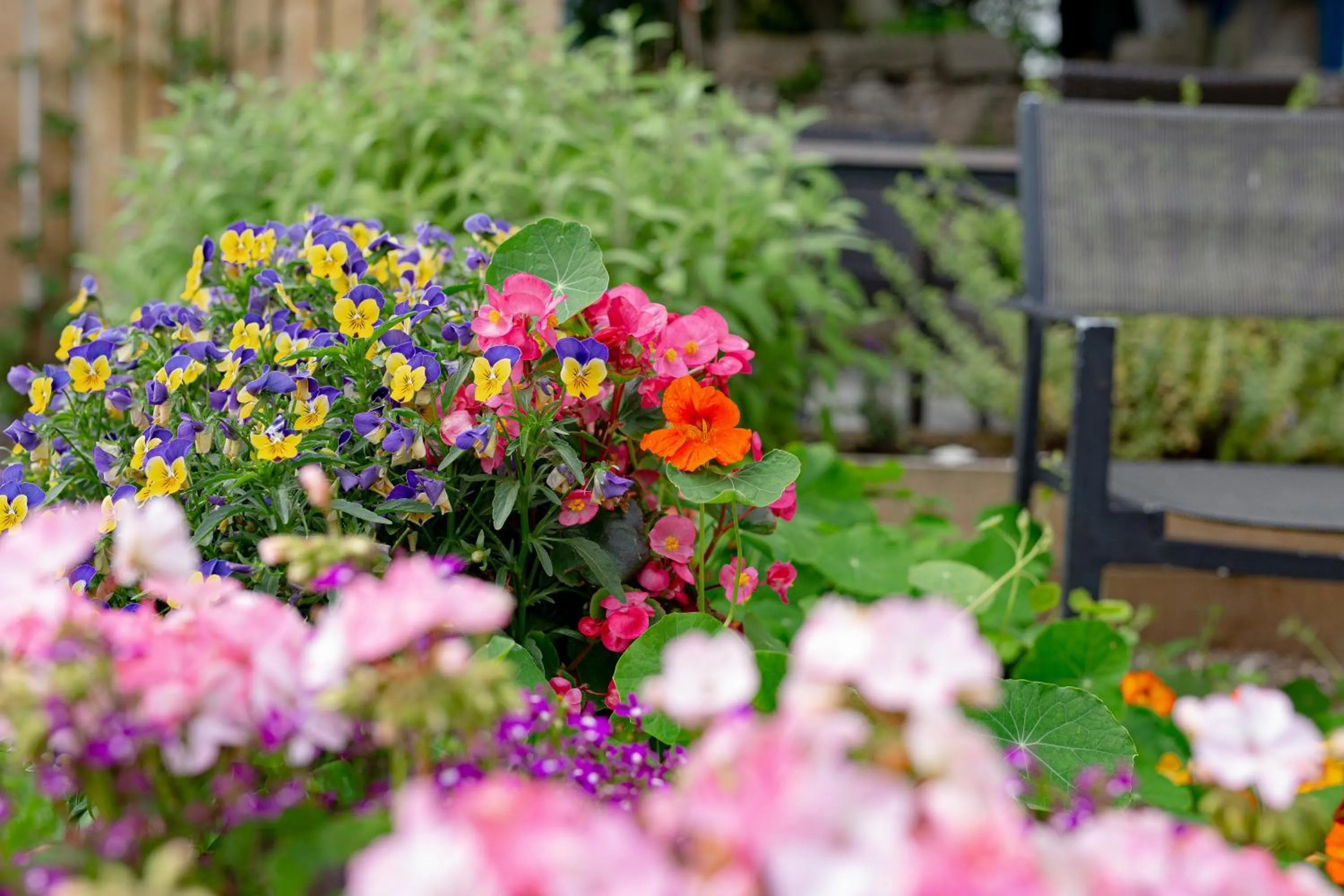 Garden in Glenisle Hotel