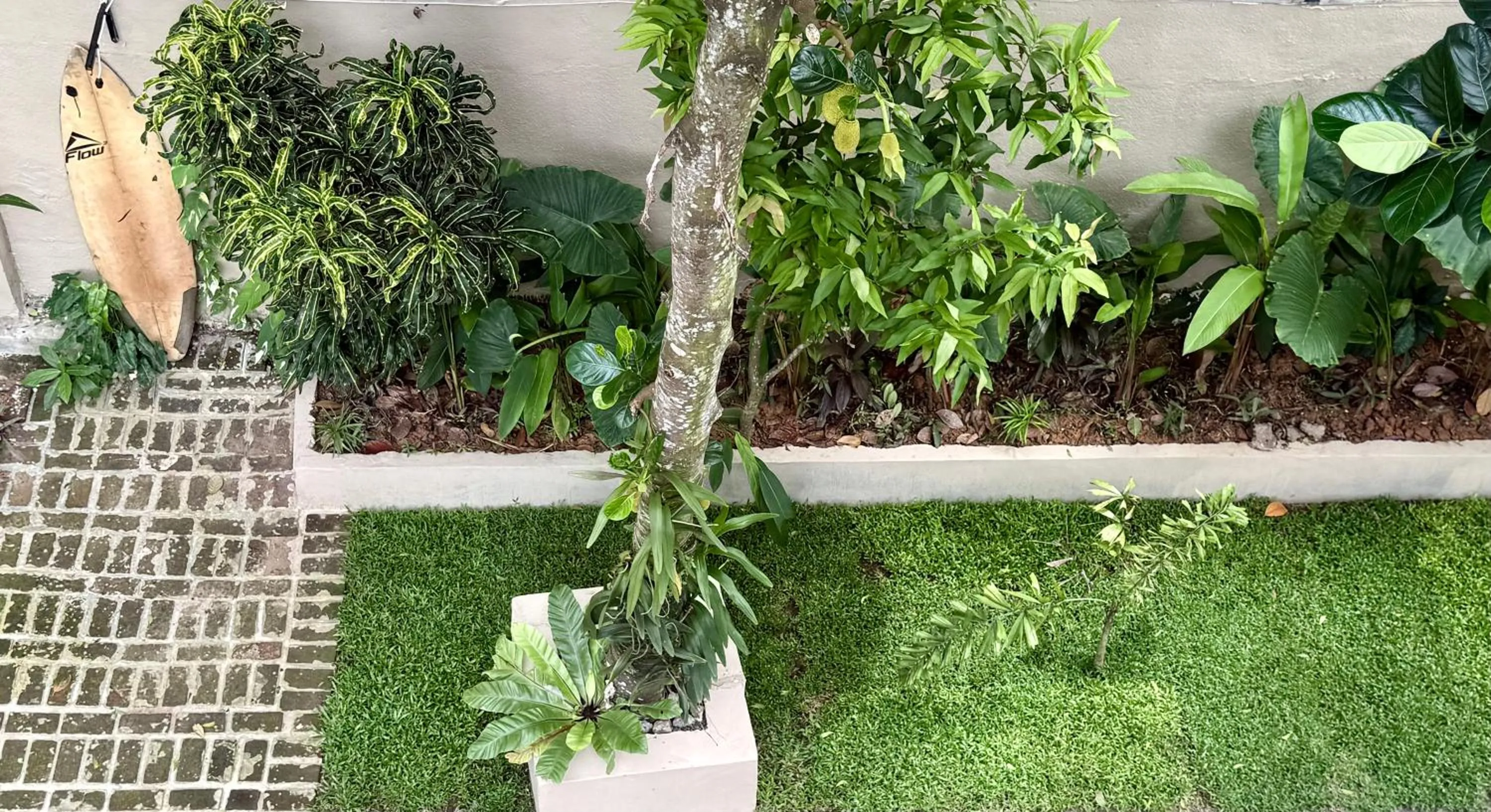 Garden in Eolie Weligama