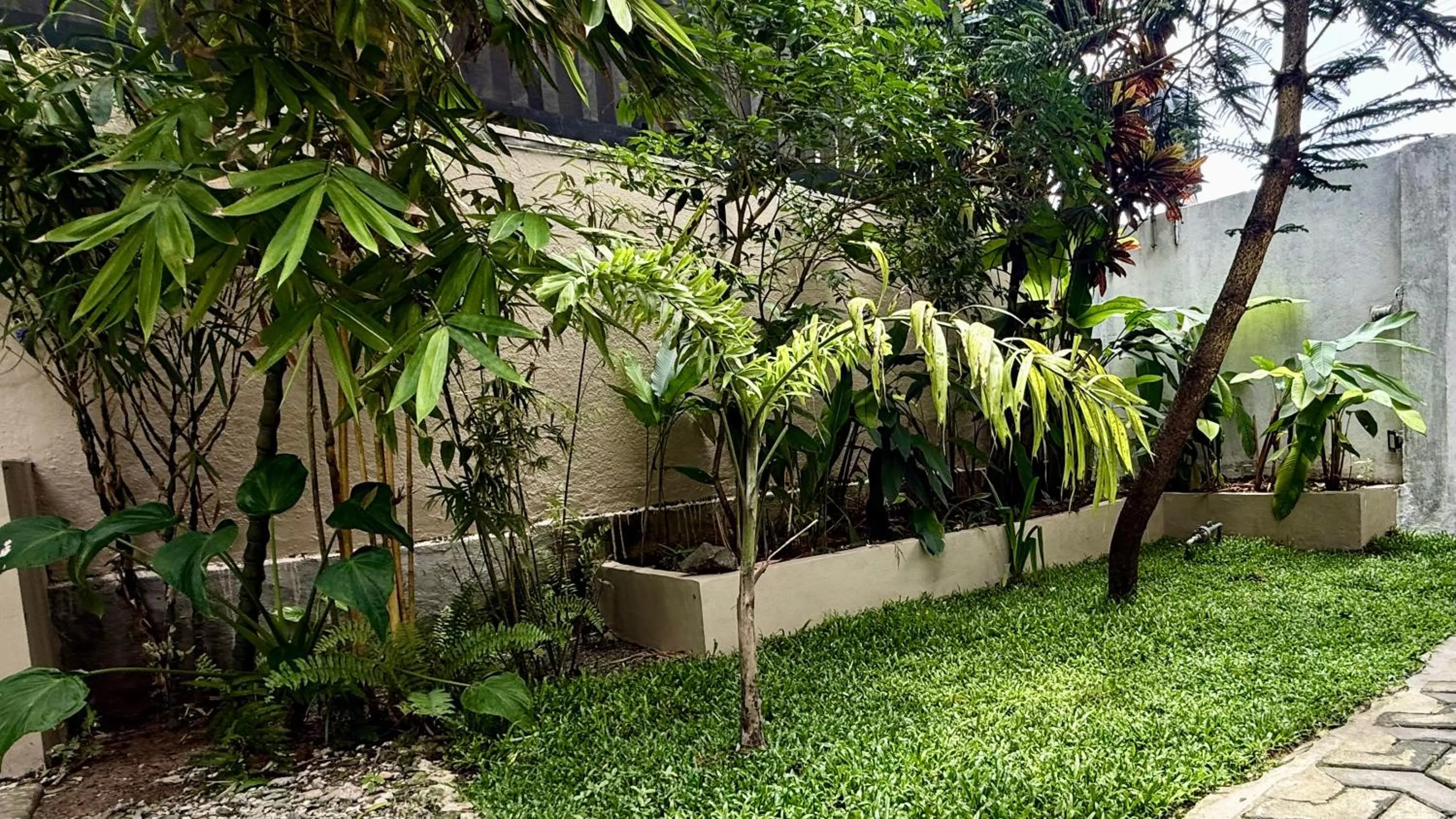 Garden in Eolie Weligama