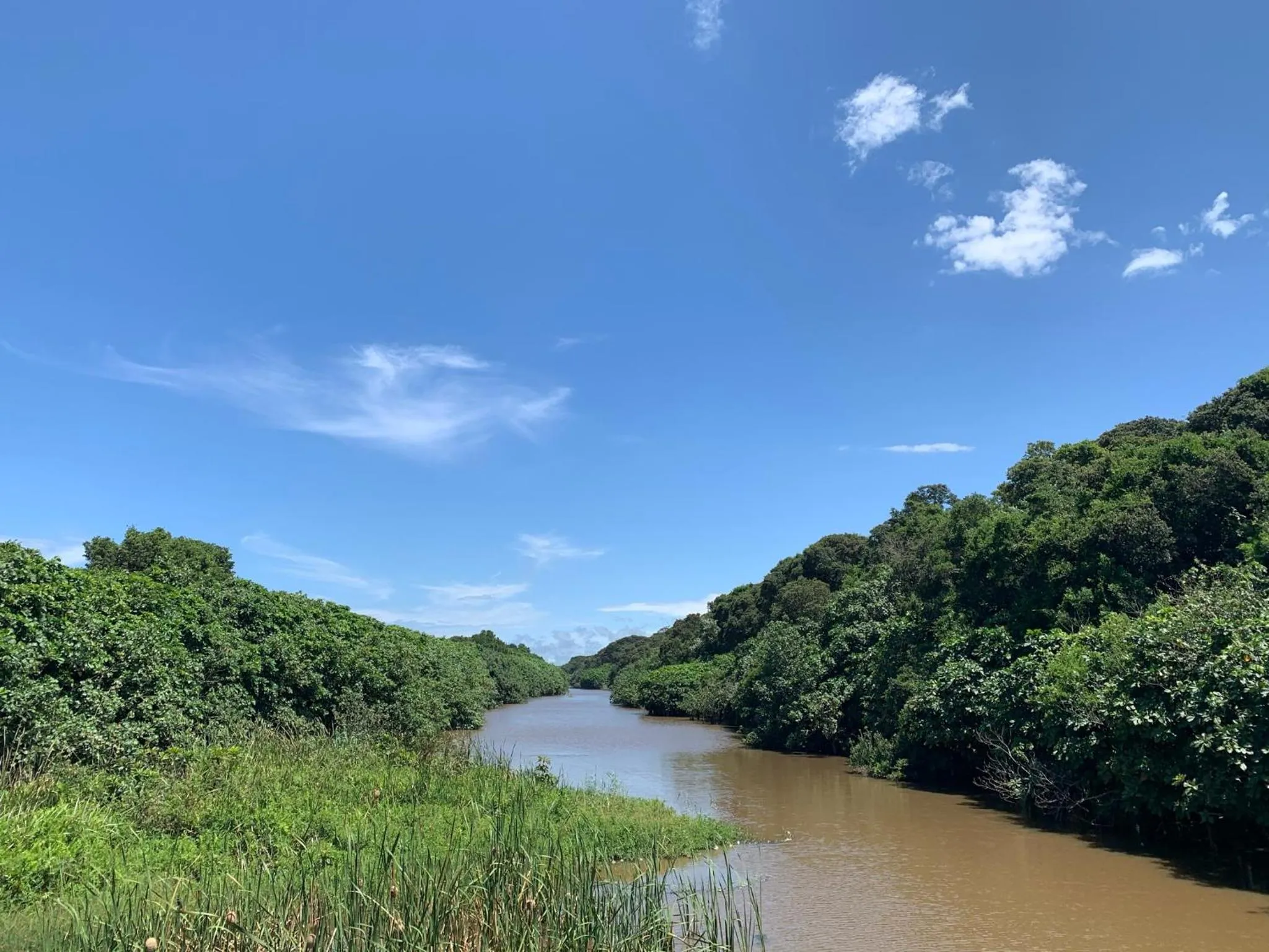 Natural landscape in Mtunzini Forest Lodge Self Catering Resort