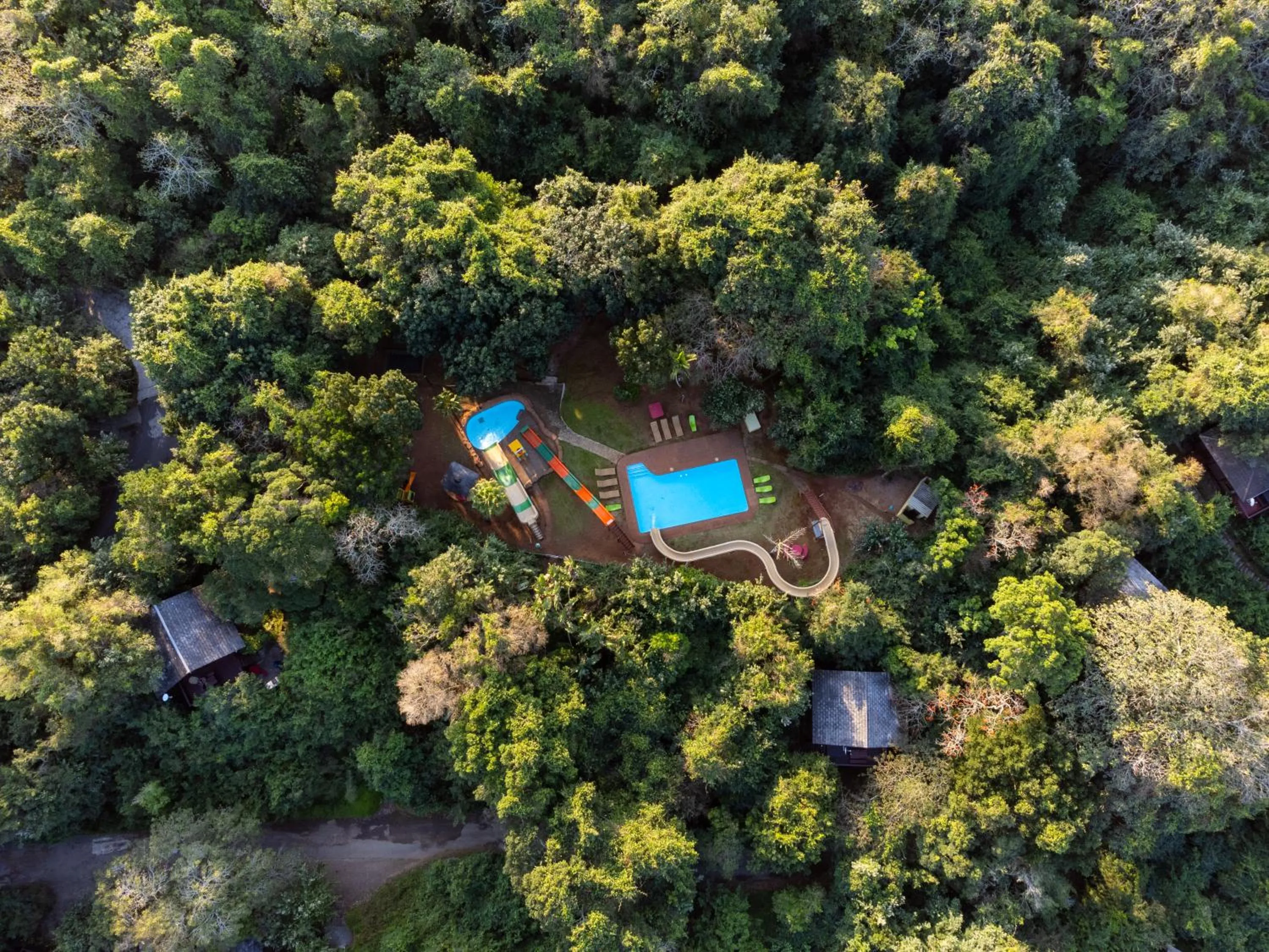 Bird's eye view in Mtunzini Forest Lodge Self Catering Resort