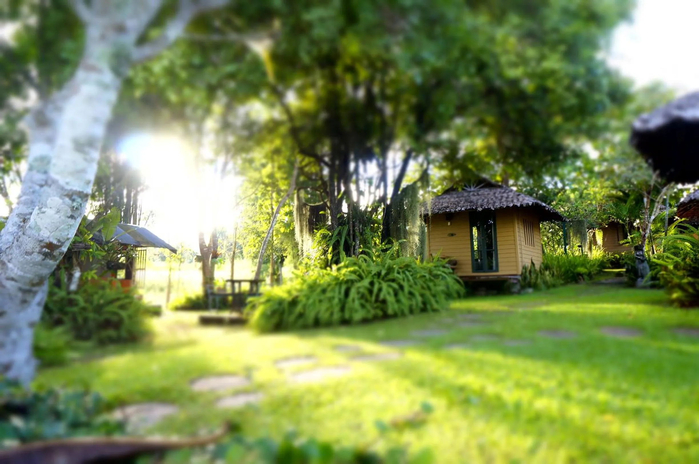 Garden in Bannamhoo Bungalows