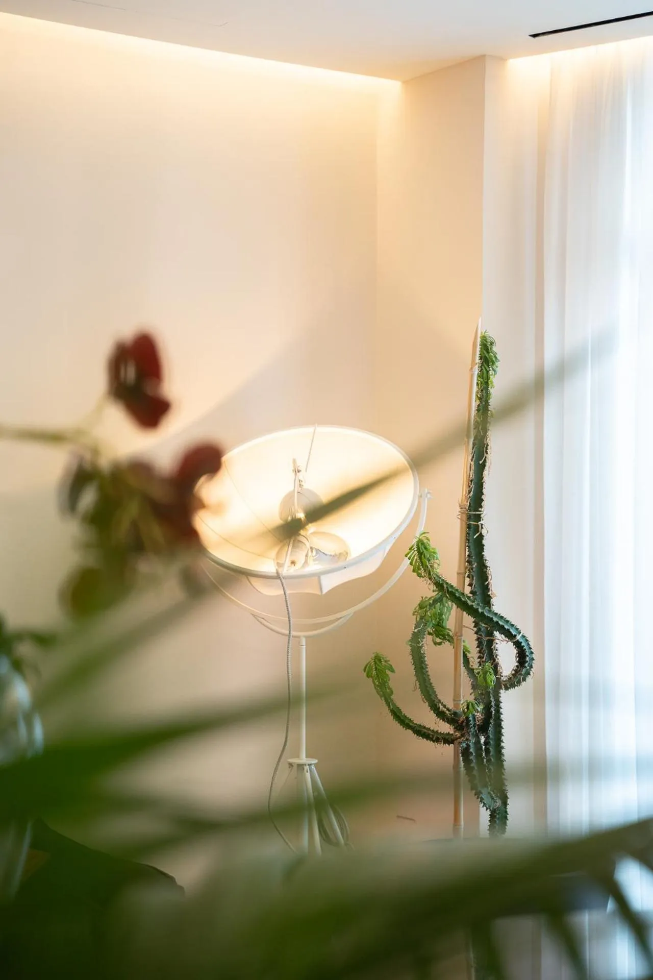 Living room in La Caravella