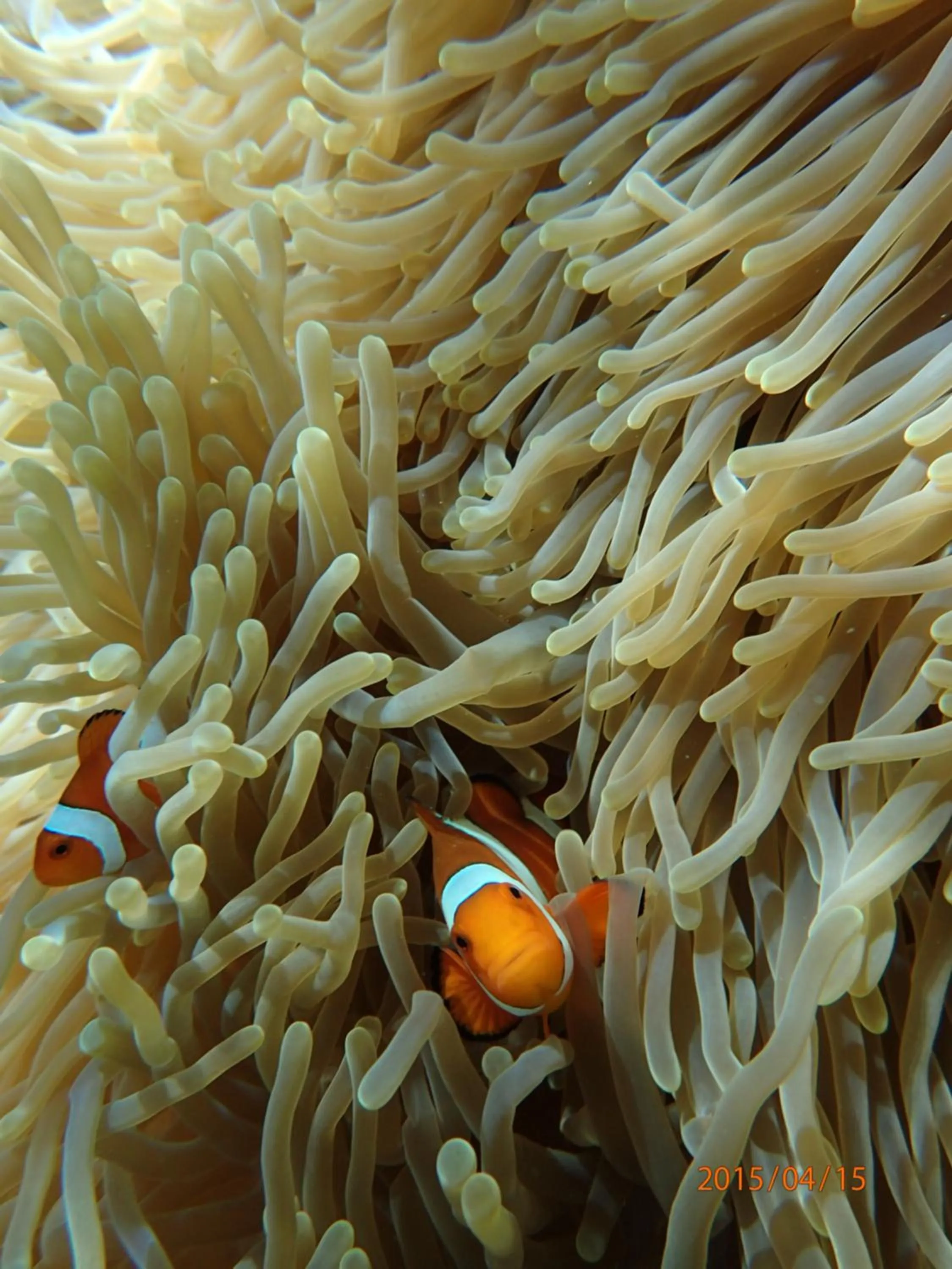 Off site in Kubu Sari Guest House