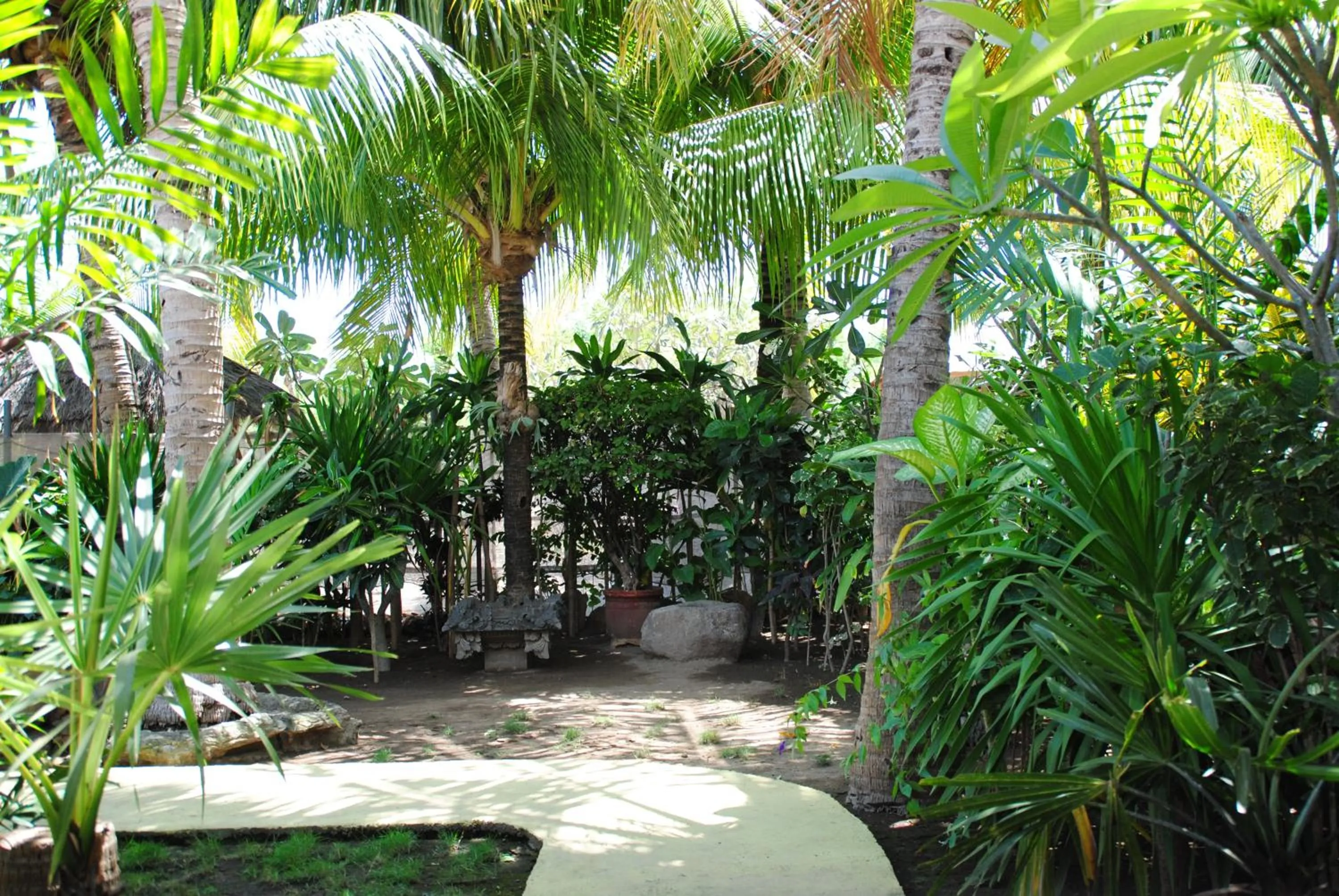 Day in Kubu Sari Guest House