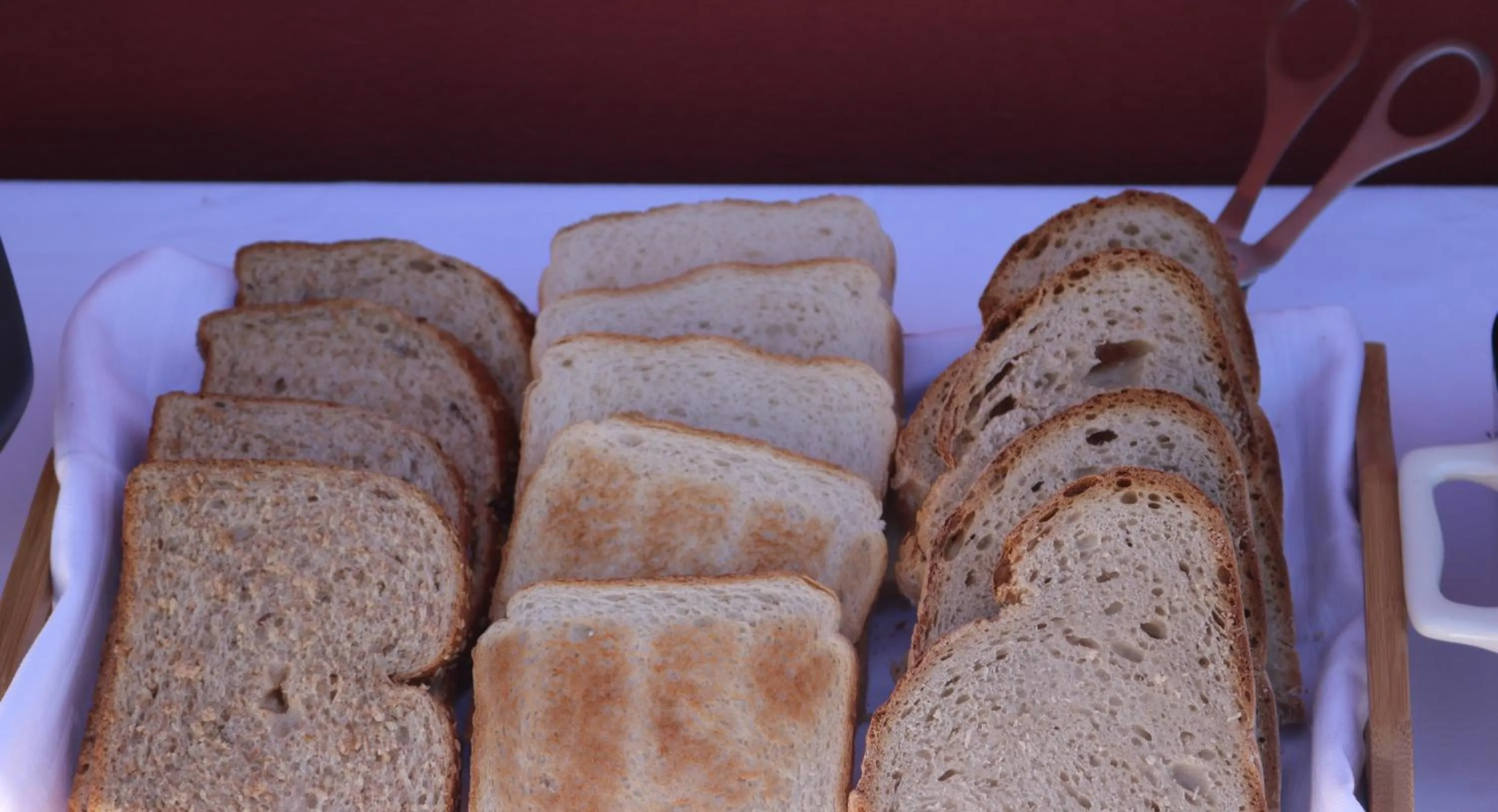 Spring in Casa Malpique