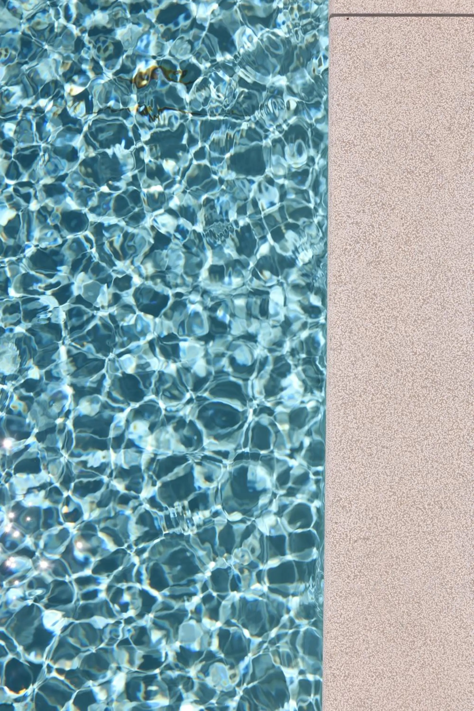 Spring in Casa Malpique