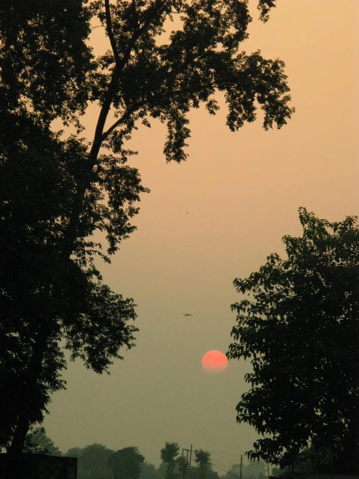 Natural landscape in Dreamland Gold Resort & Hotel