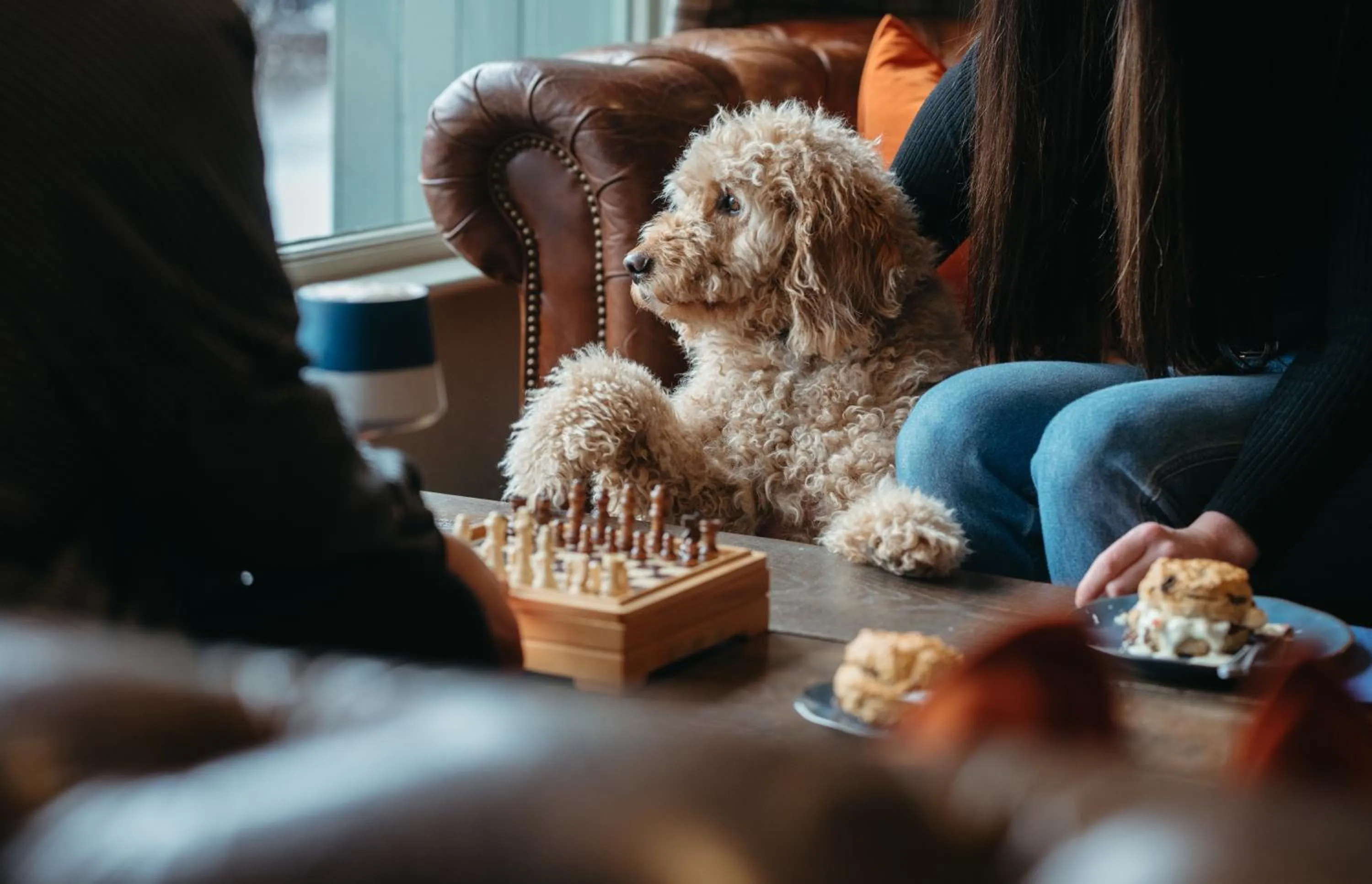 The Little Inn at Grasmere