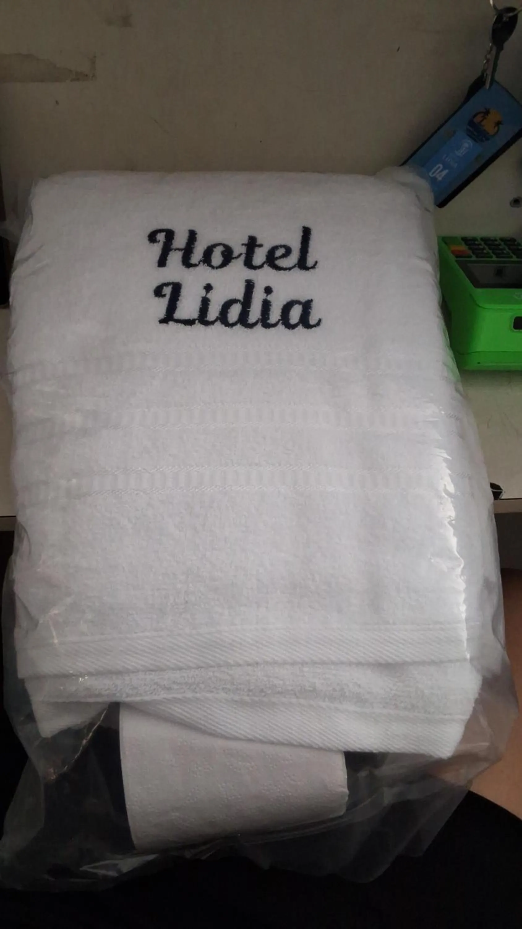 Bed in Hotel Lídia