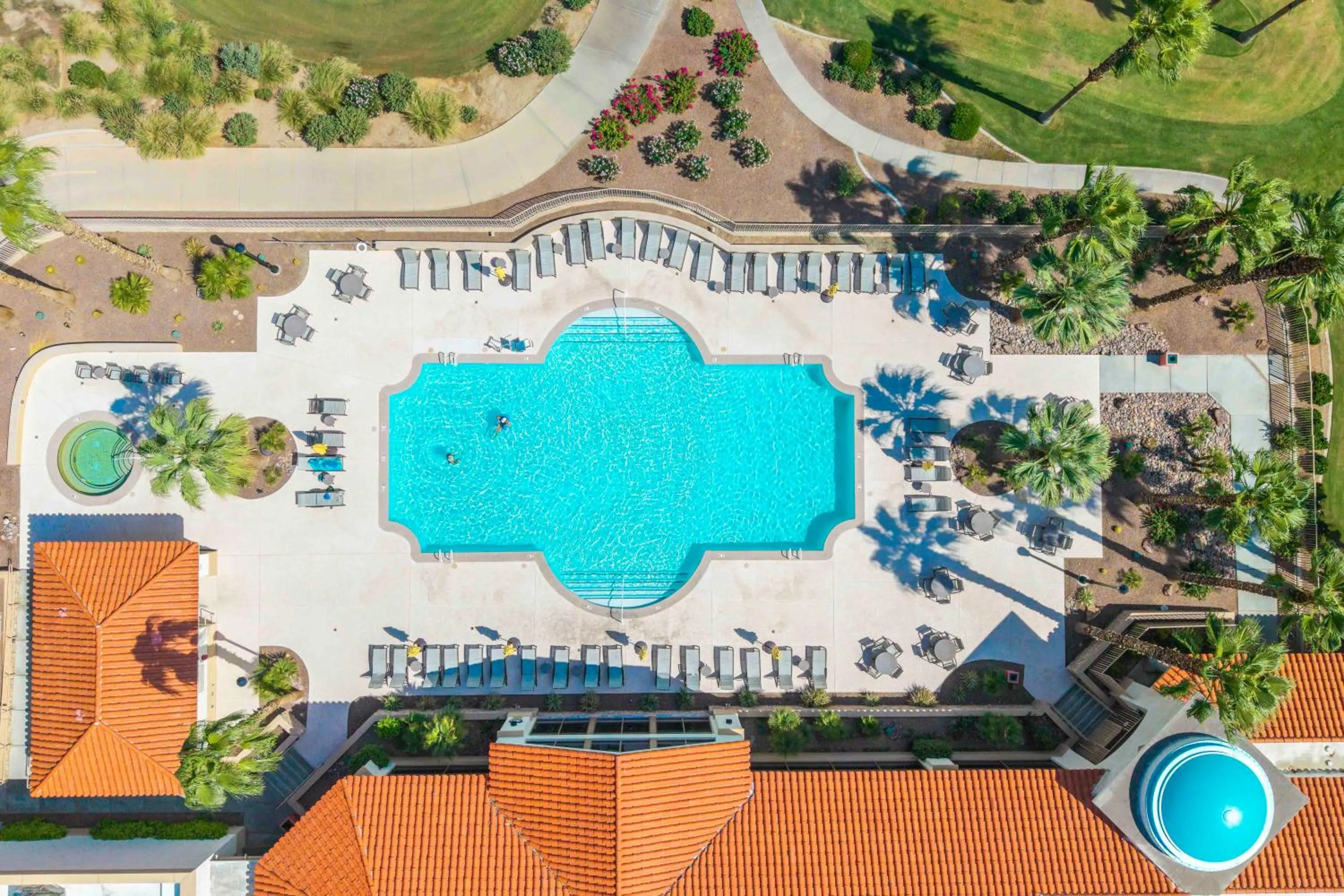 Swimming pool in Desert Fairway Oasis