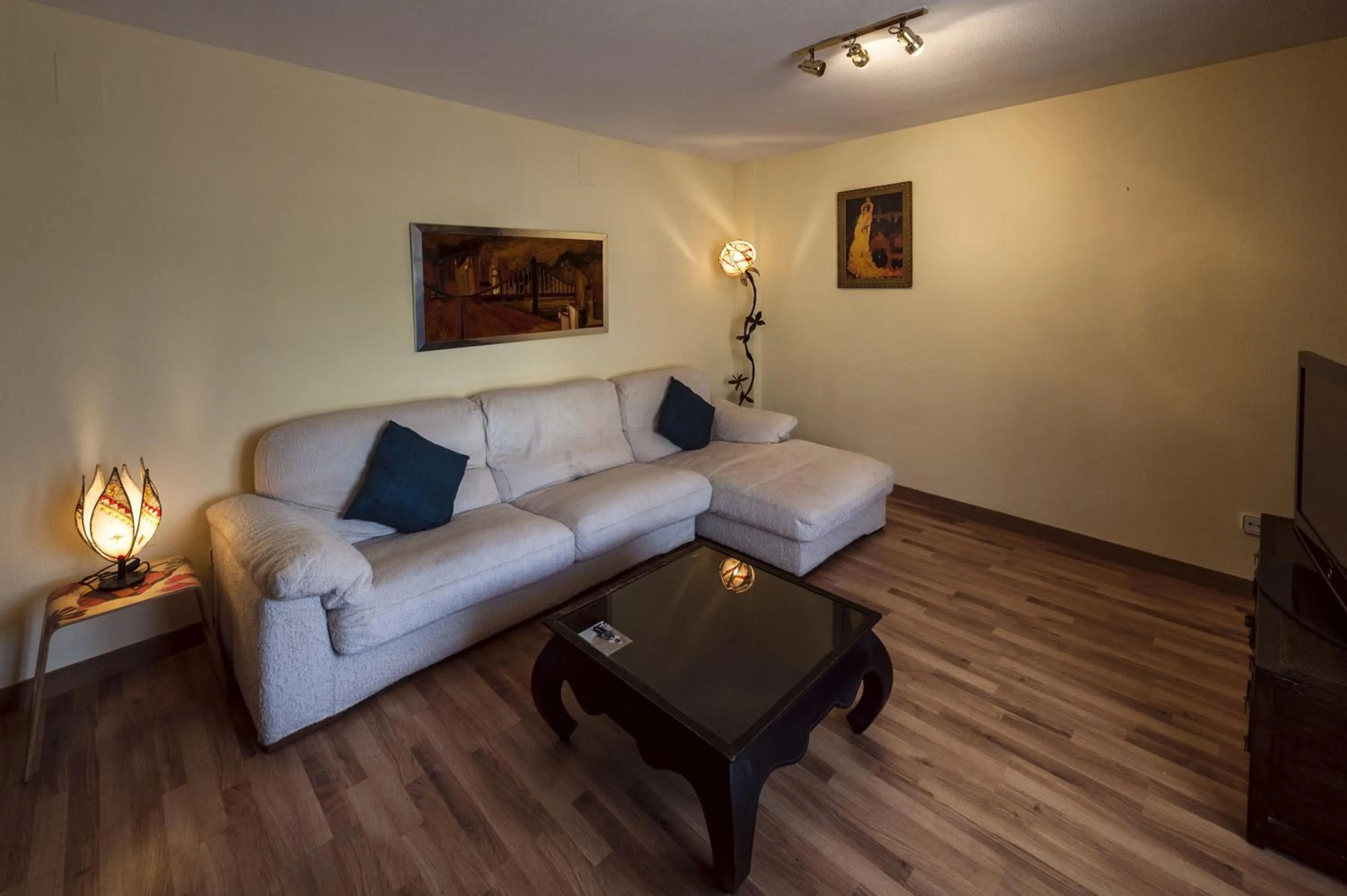 Living room in Atico-Terraza Imperial